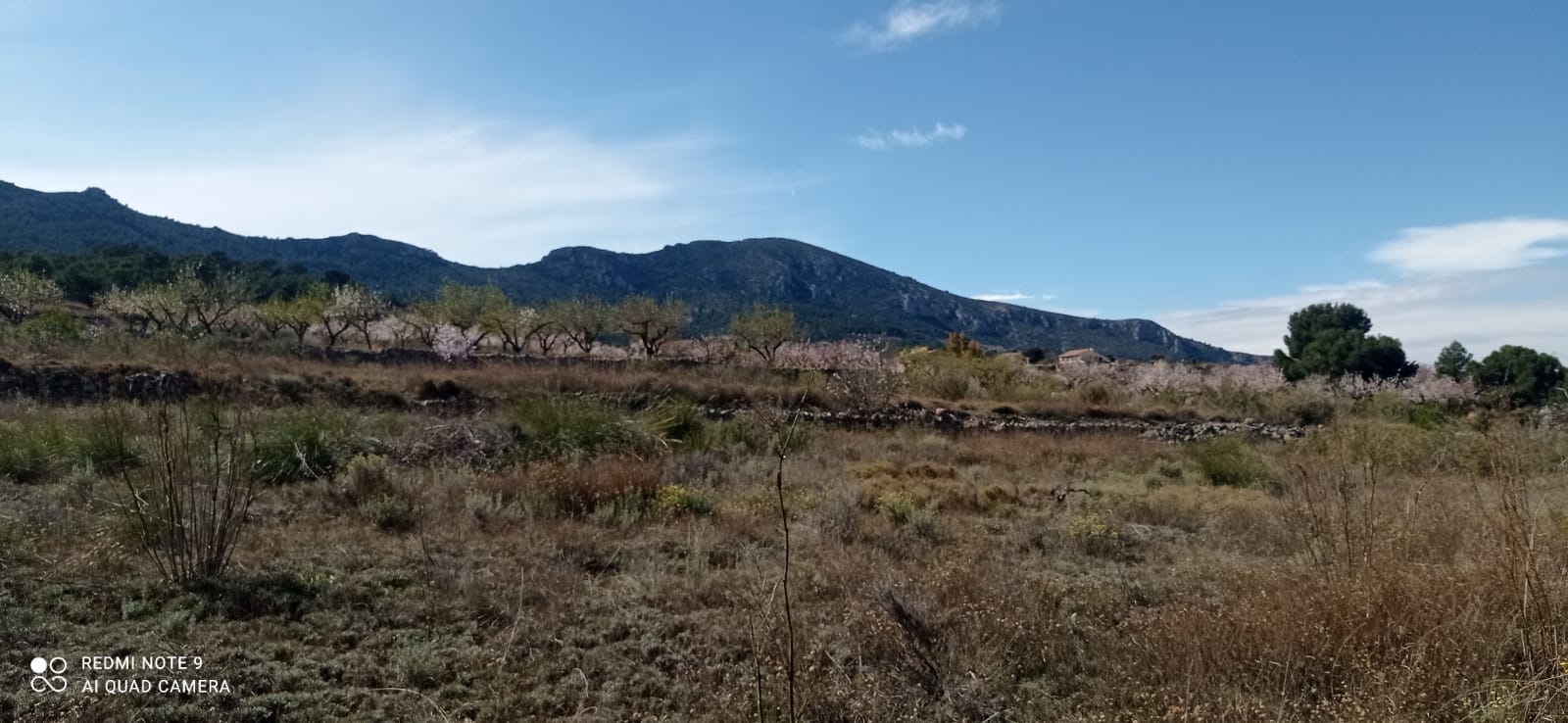 o_1ha99decb120aug61d6g1g0oush1v