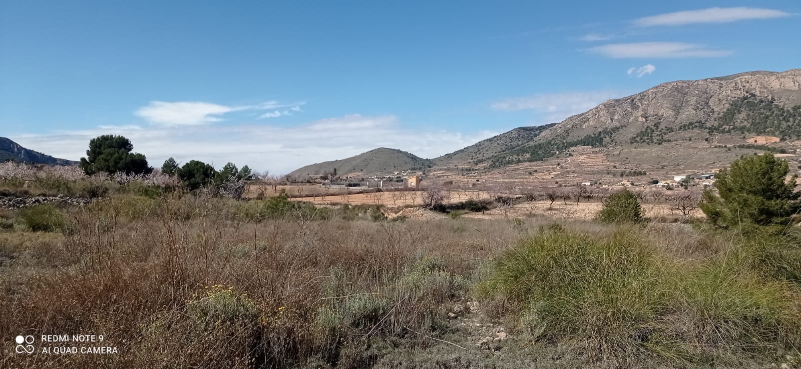 o_1ha99decb1dmf18uuu6b1p41rcv1q