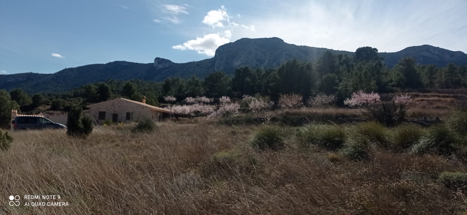 o_1ha99decb1plr1au51ekh1ohb2920