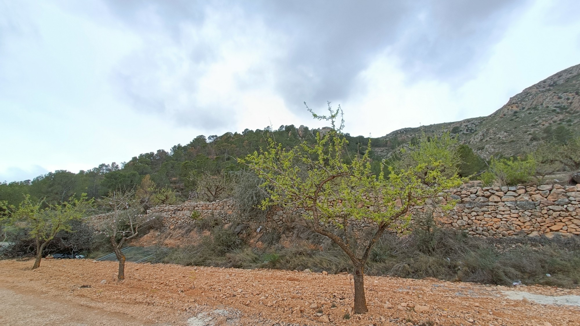 o_1ima9vhig1r5g13a56c21k5f1j2m20