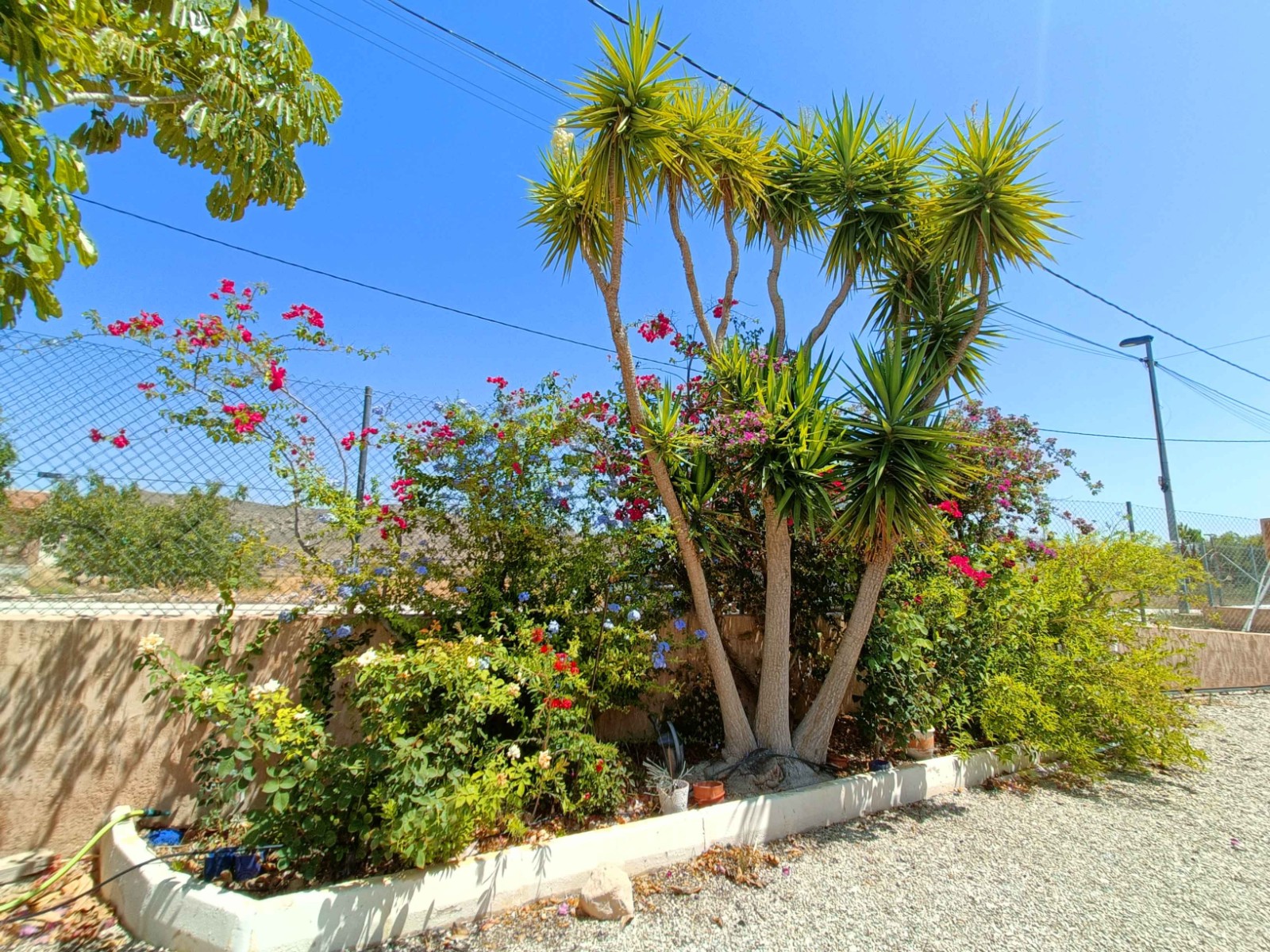 o_1j7236hkg10gu1jor5ubg9o161v39