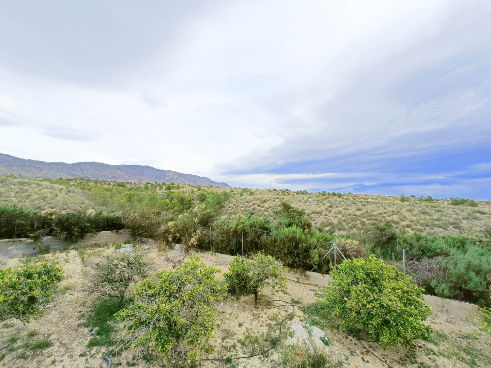 o_1jc4data81cdk19pbj8mfka1mla4e