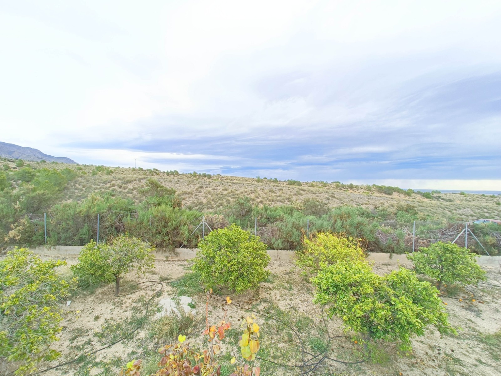 o_1jc4data8arf9kqusf1ttmelr4f