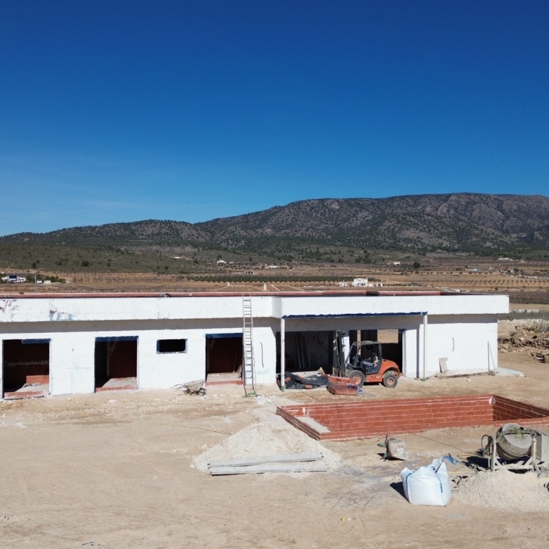 Villa in Pinoso (Alicante)