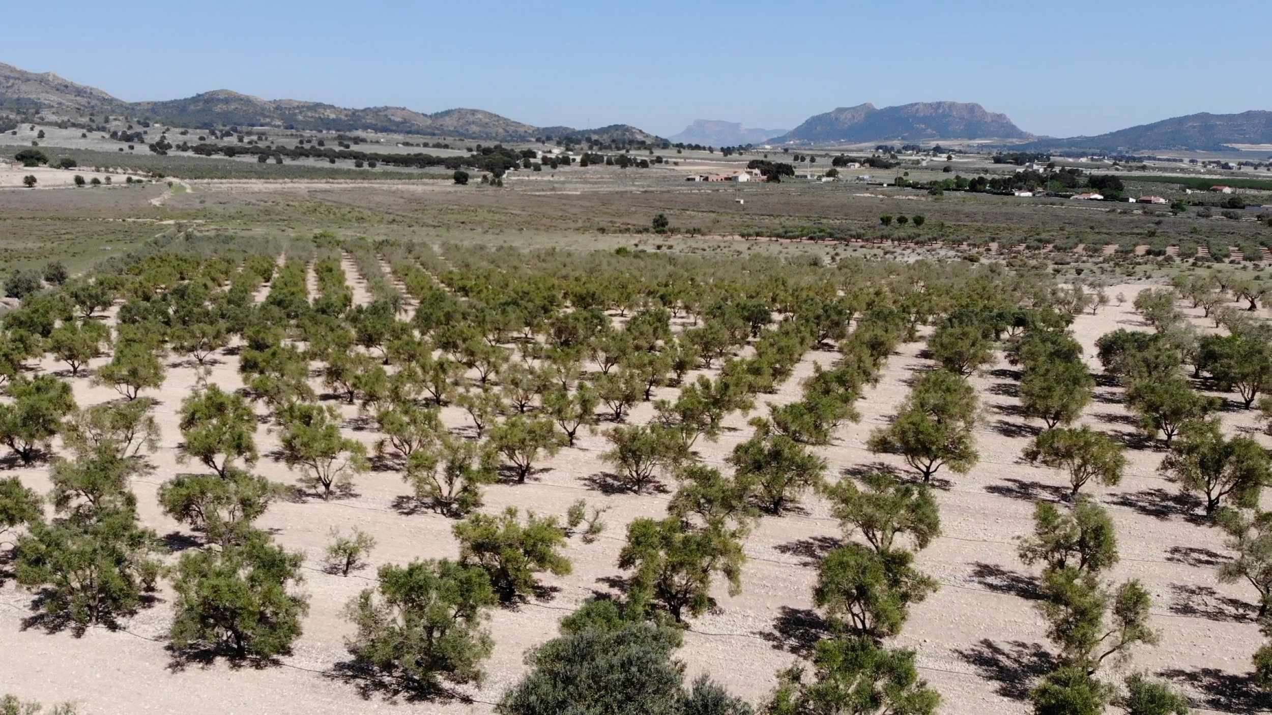 property_attachment_10bvqnhgzx_20260313080556