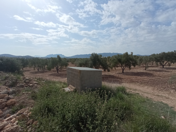 Building Plot in Salinas (Alicante)