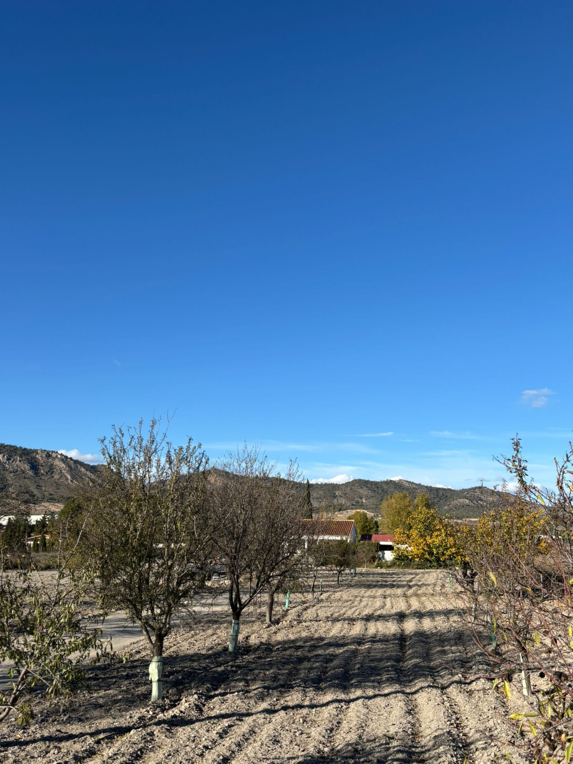 property_attachment_1kjsuvz921_20260319022604