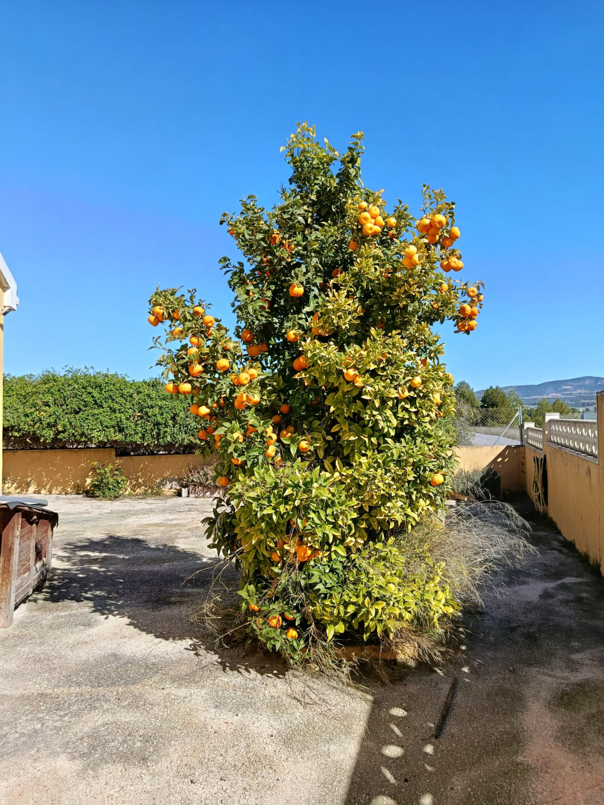 property_attachment_1tui9ttlmp_20260317010037