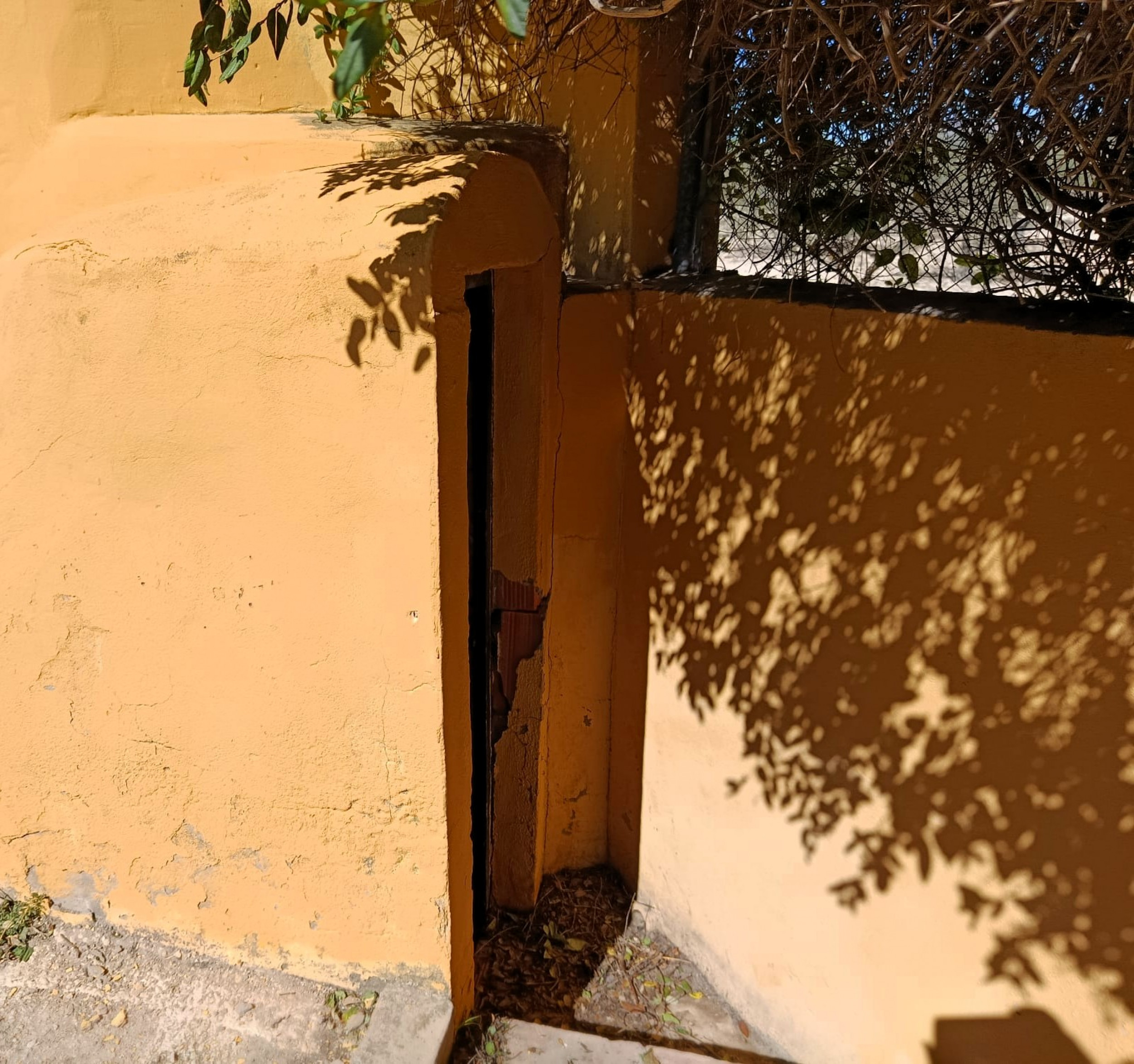 property_attachment_1vo7uaveed_20260317010019