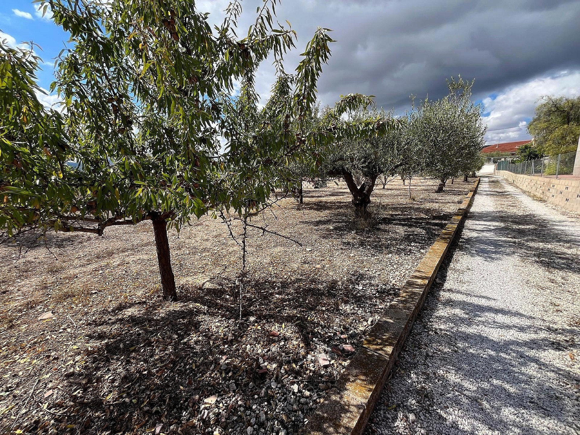 w_6nfshnb6y4hdhrw8rck7