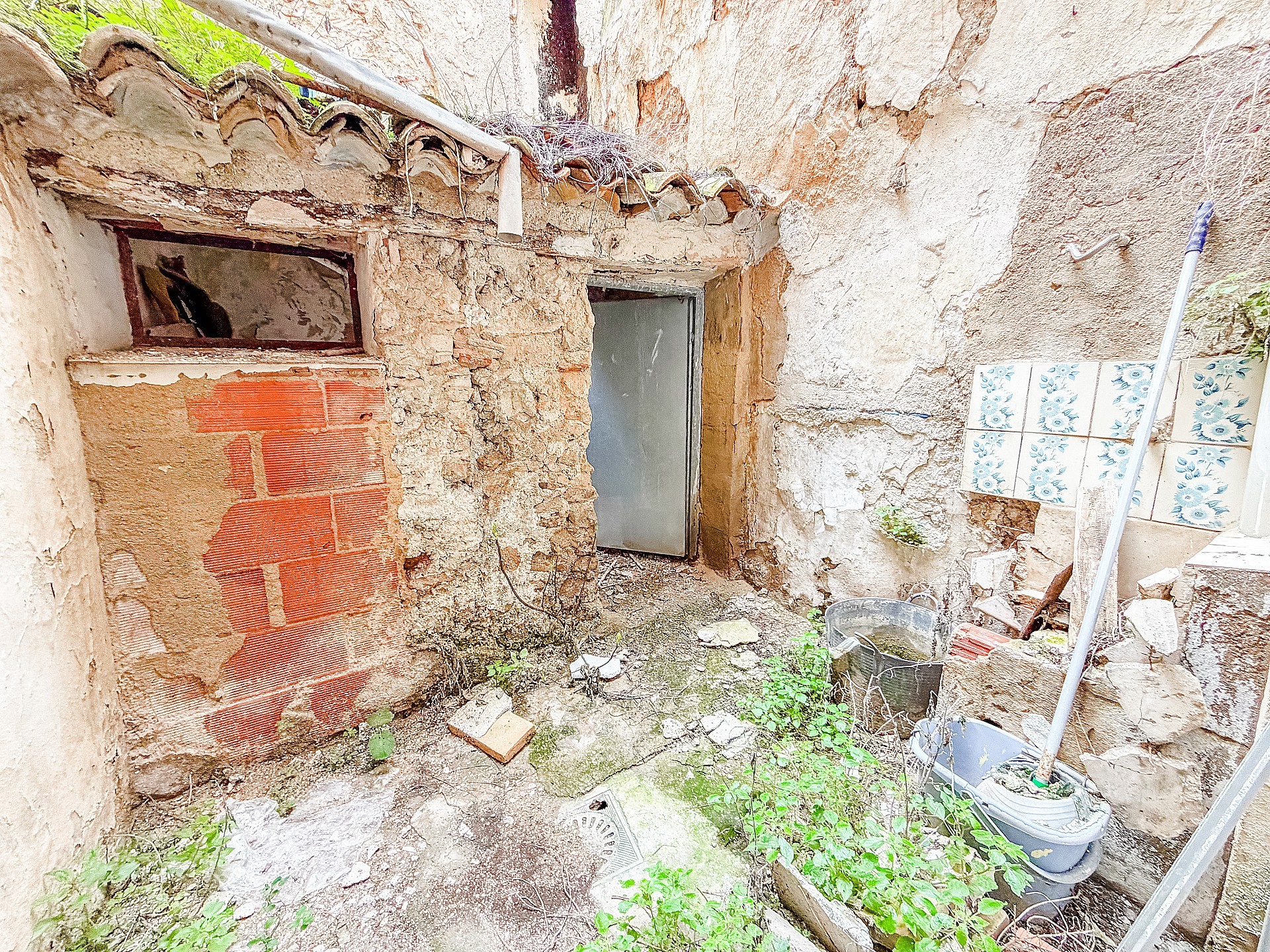 w_8hor2usn2jtp4ohpurmg