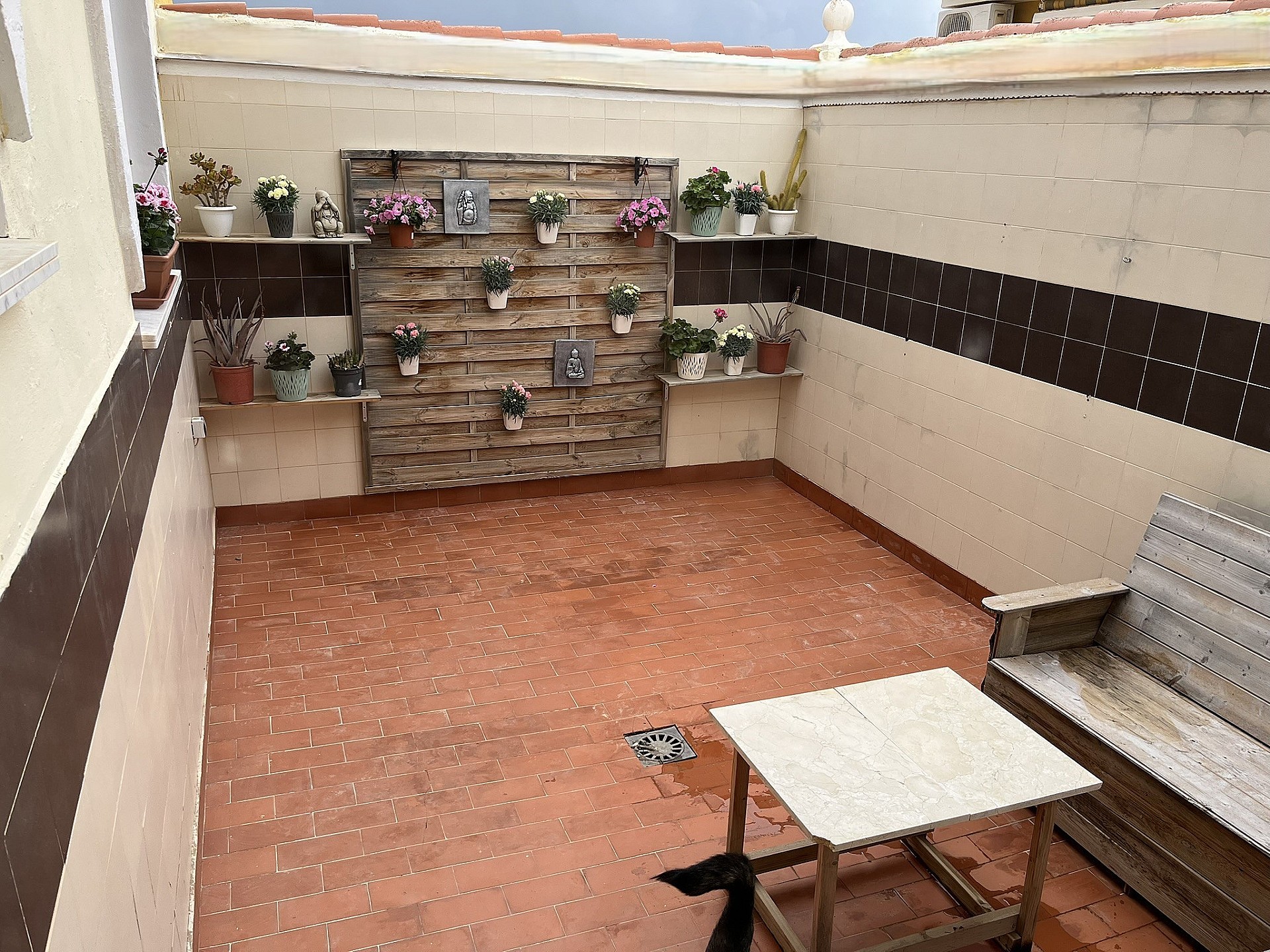 w_ahpw5v0oy6ayt74v80gg