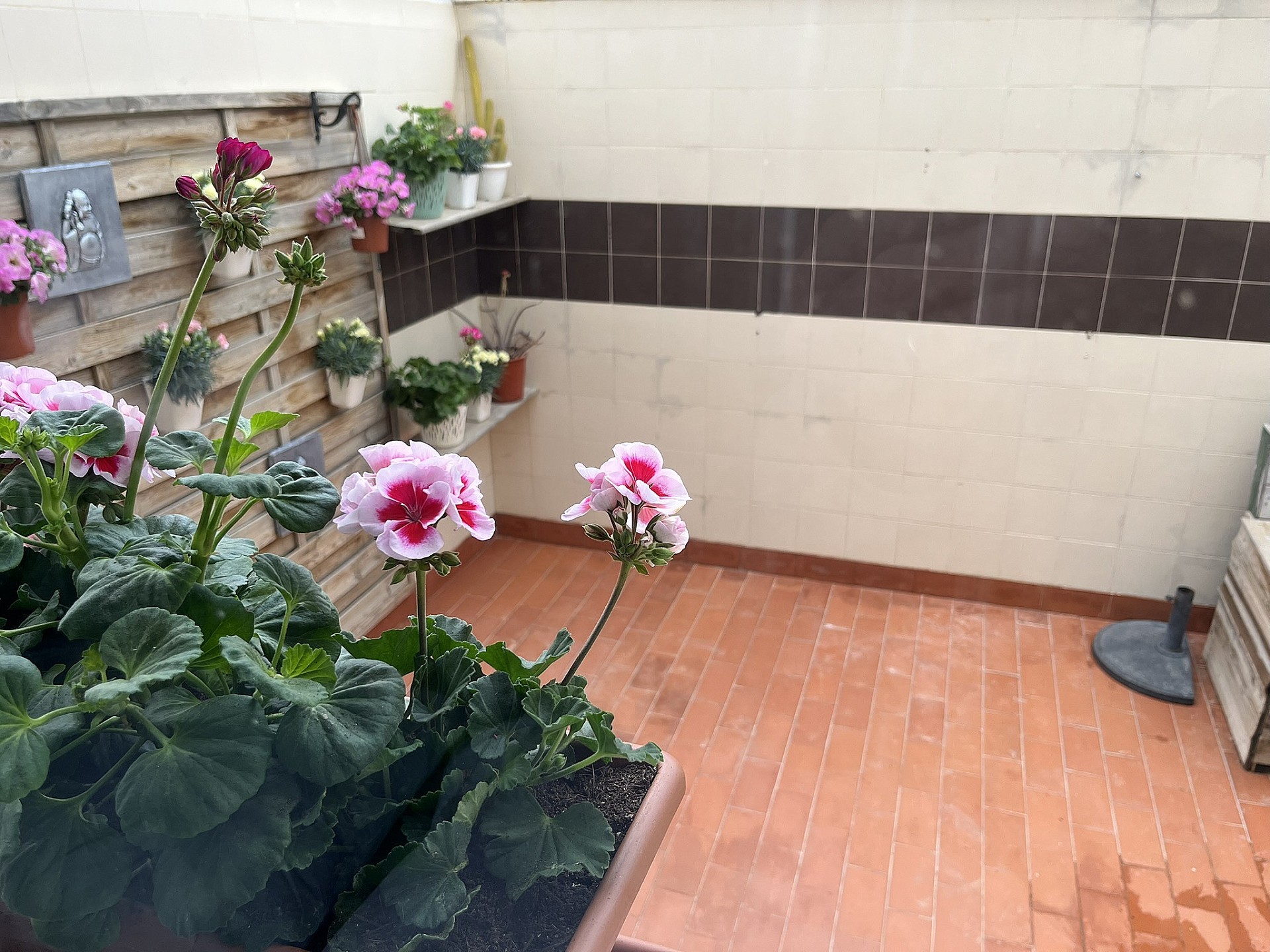 w_bit7hx0efhz35e8dom8f