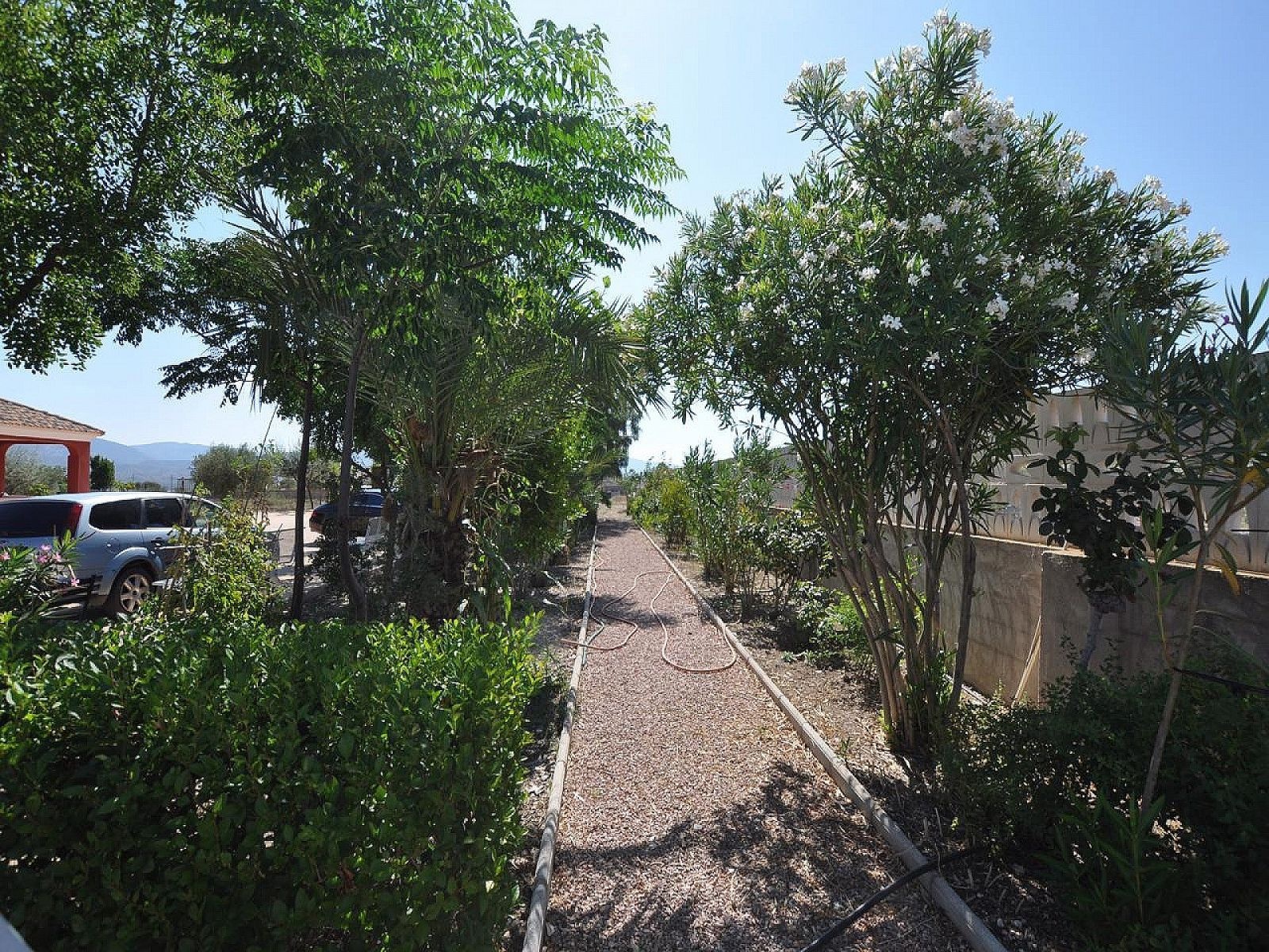 w_cxf73u3uq2340gx8ruas