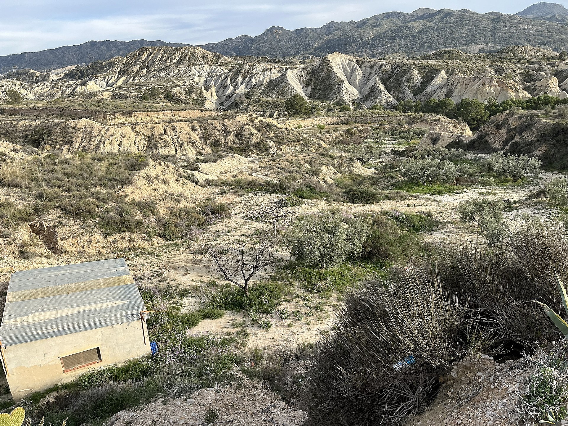 w_daoufpokmky7umnxqsmi