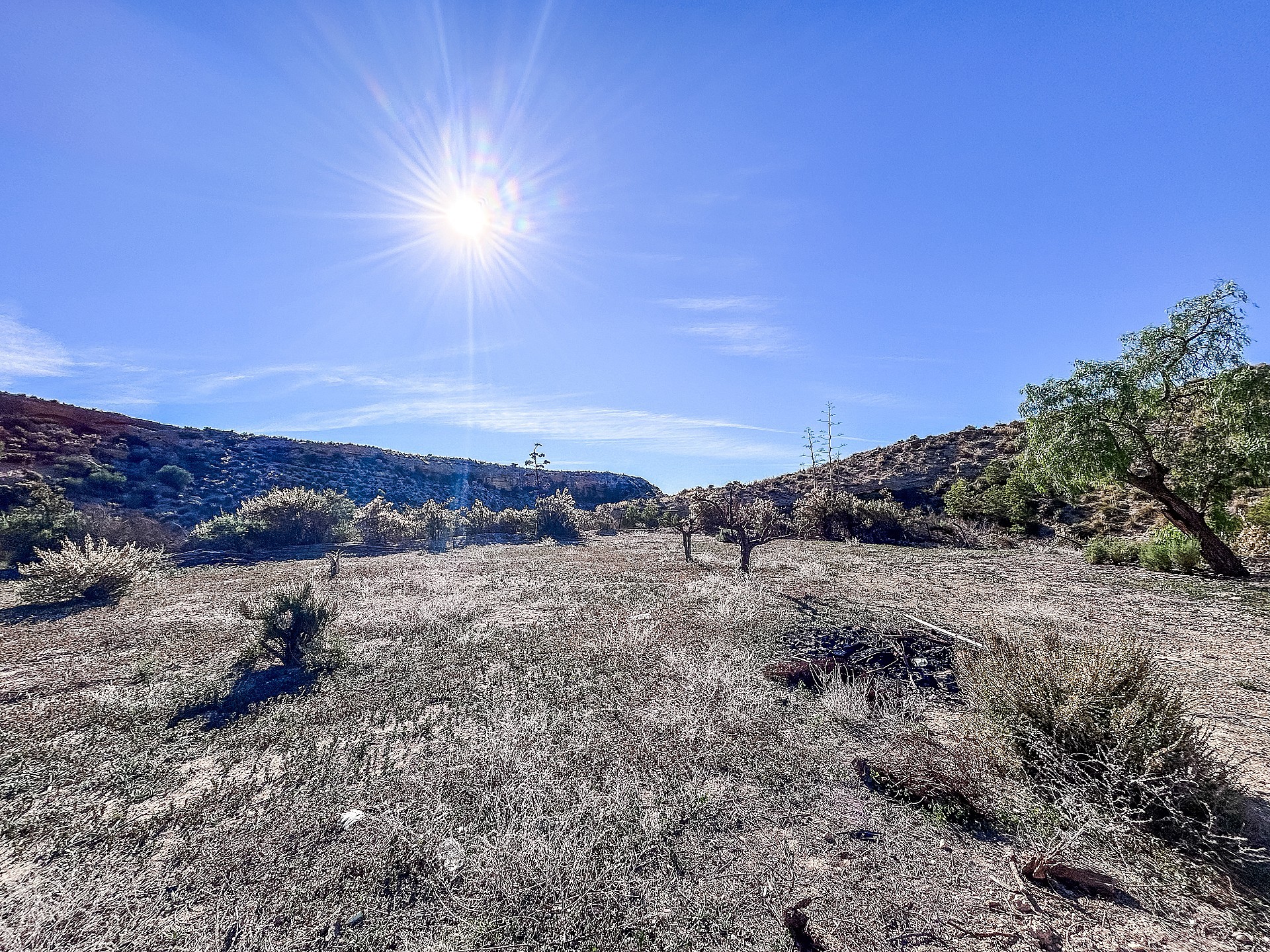 w_f0jmo7vryn4v0wfnobxm