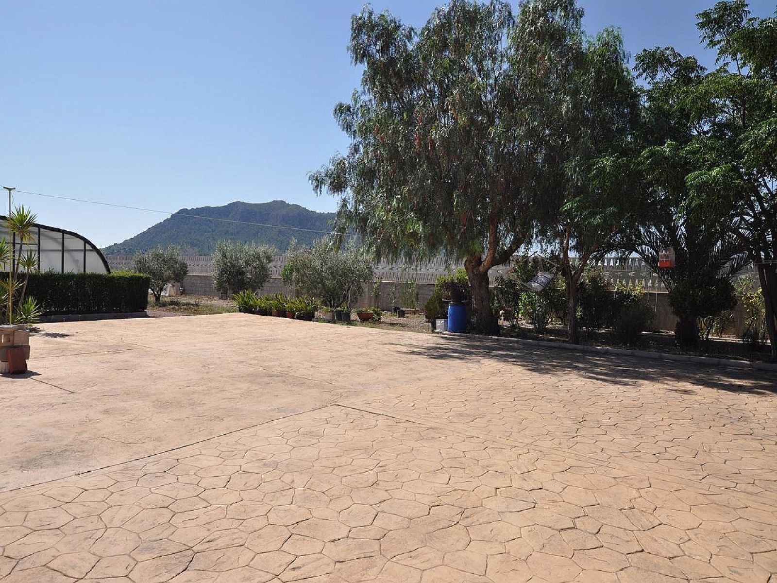 w_ft5gad6wu6mnc52caxii