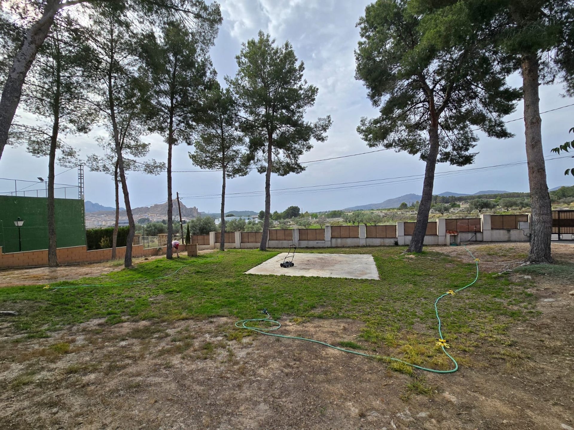 w_img-20250612-wa0009