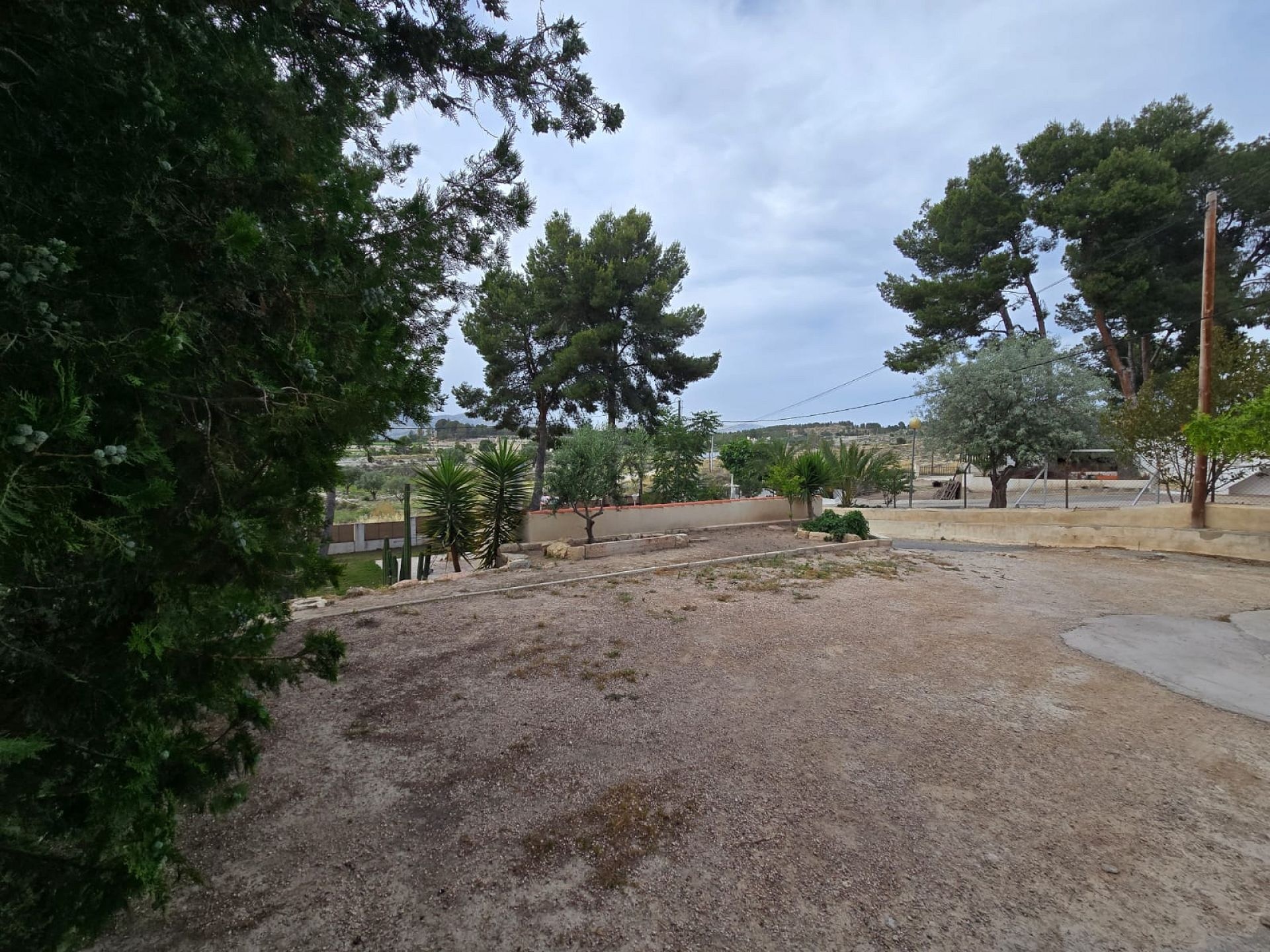 w_img-20250612-wa0024