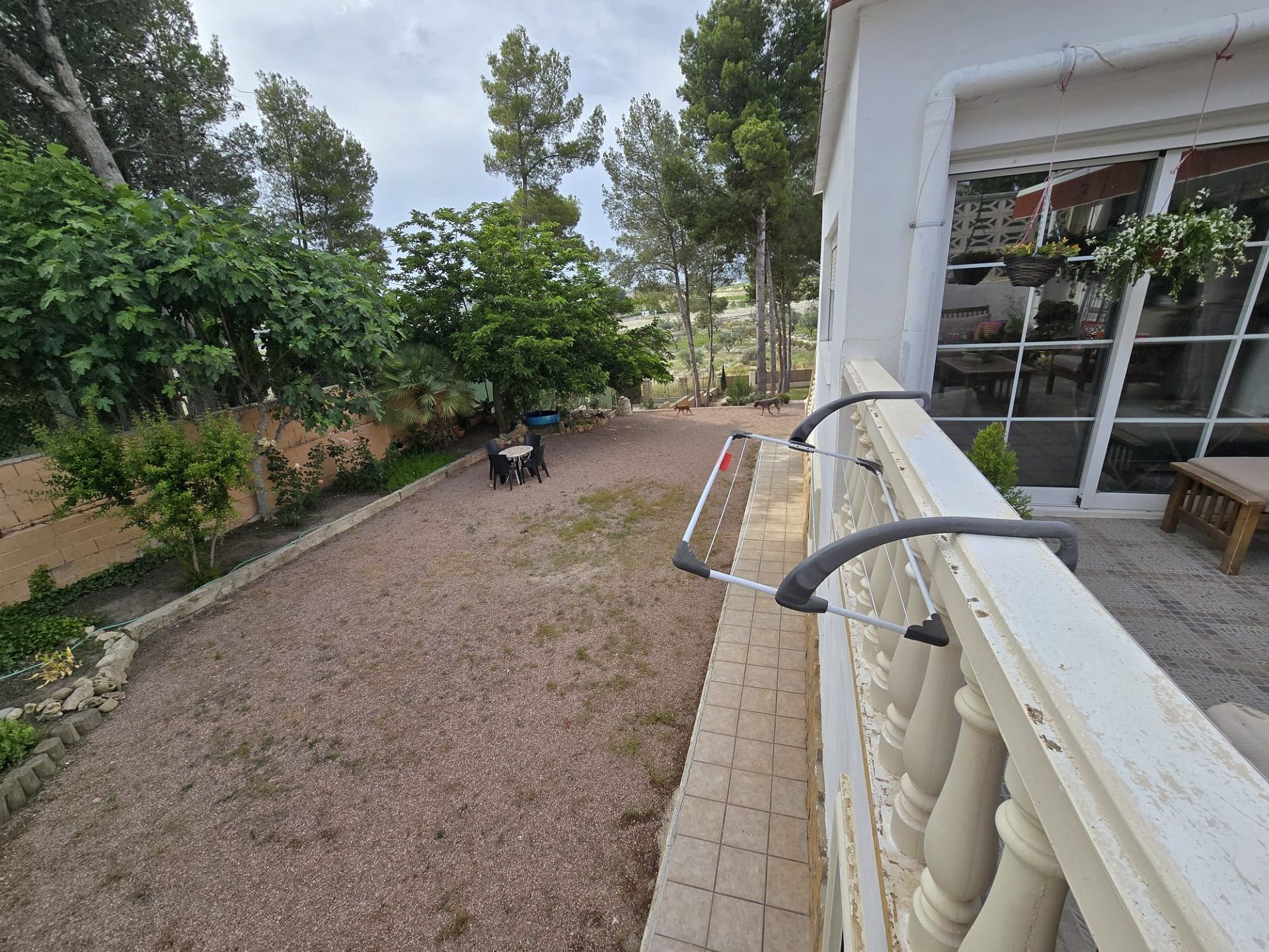 w_img-20250612-wa0046