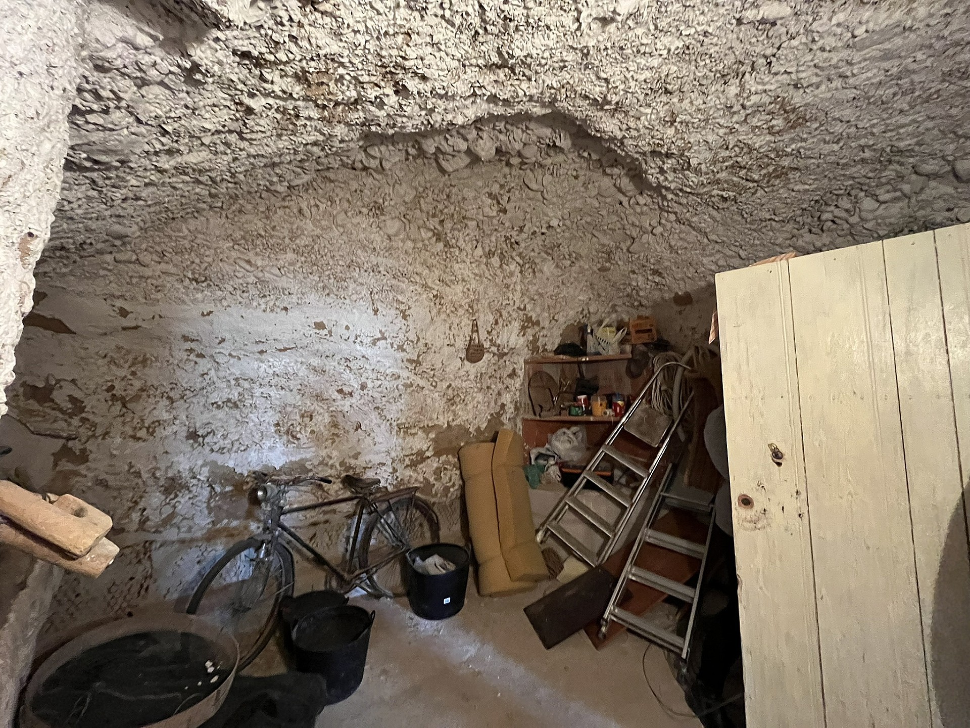 w_qk2zt5dsbj0bnn8va04d