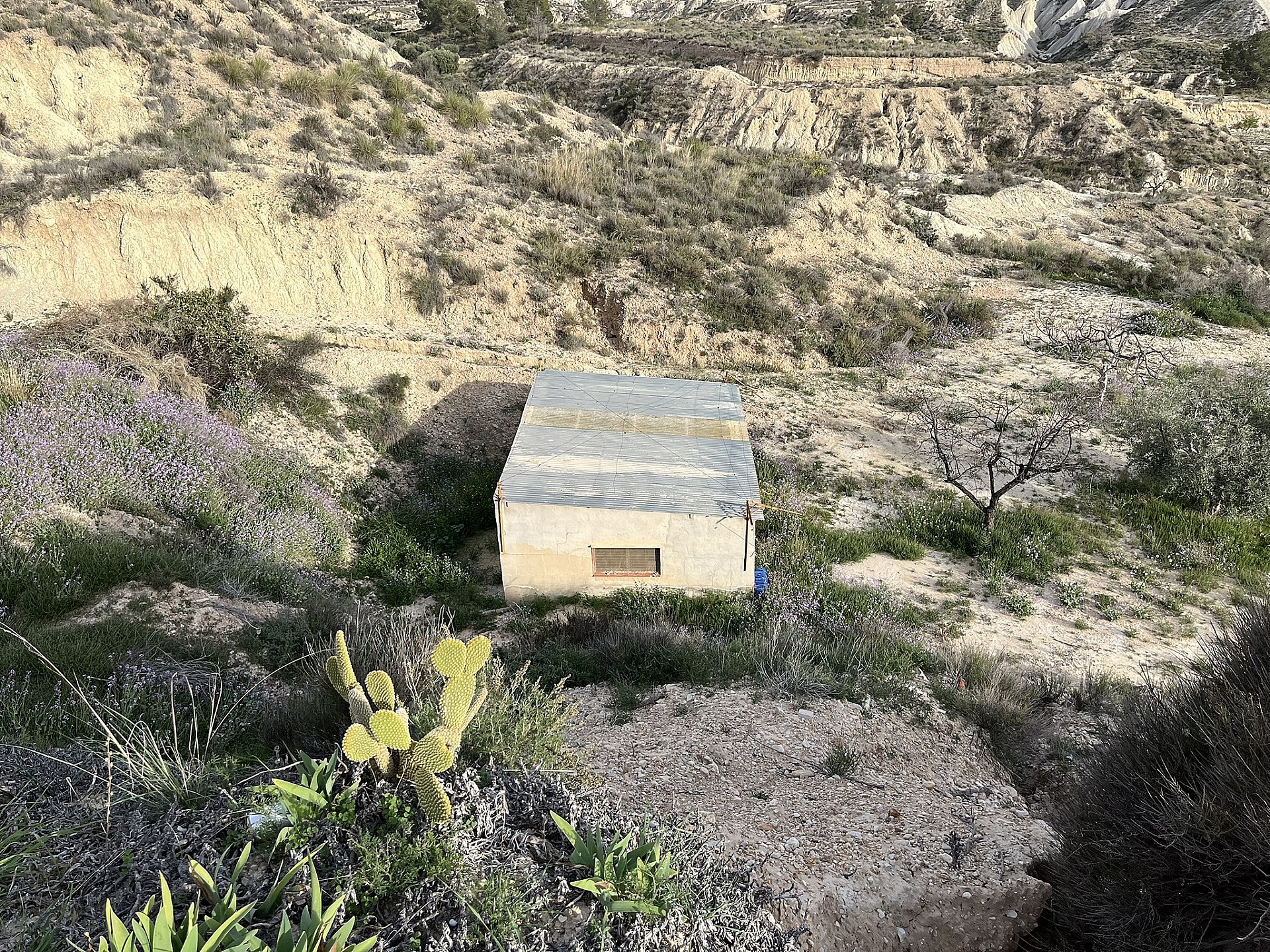 w_rdbfz0ovyxexv32md768