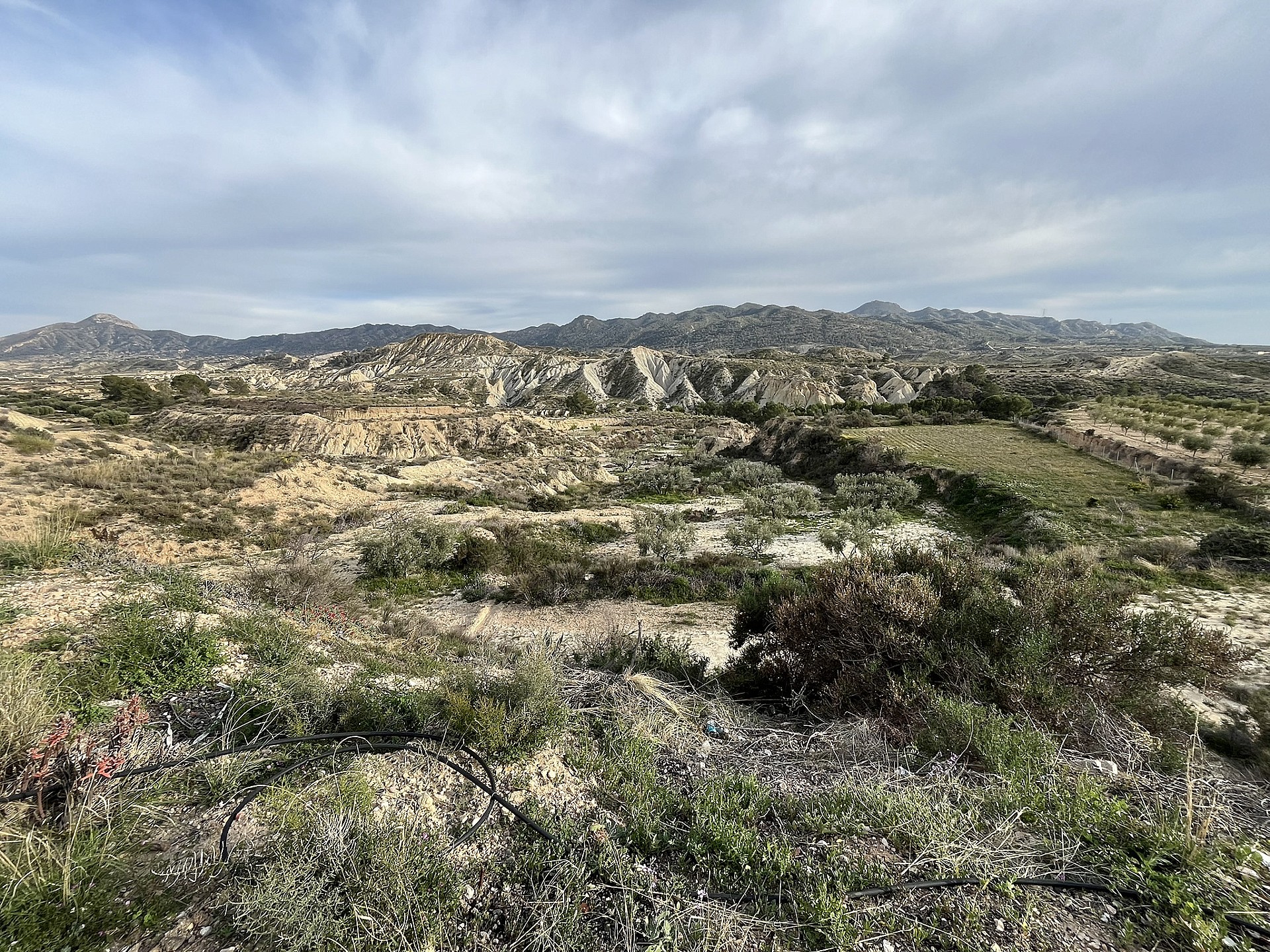 w_tag3wjr52mwnrrcud66u