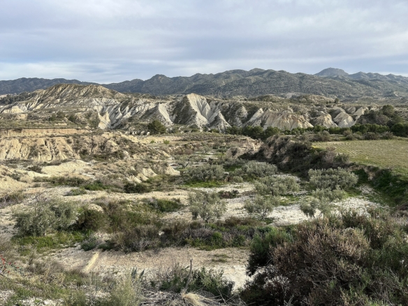 Höhlenhaus in Abanilla (Murcia)