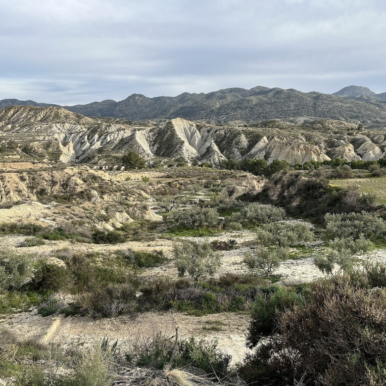 Höhlenhaus in Abanilla (Murcia)