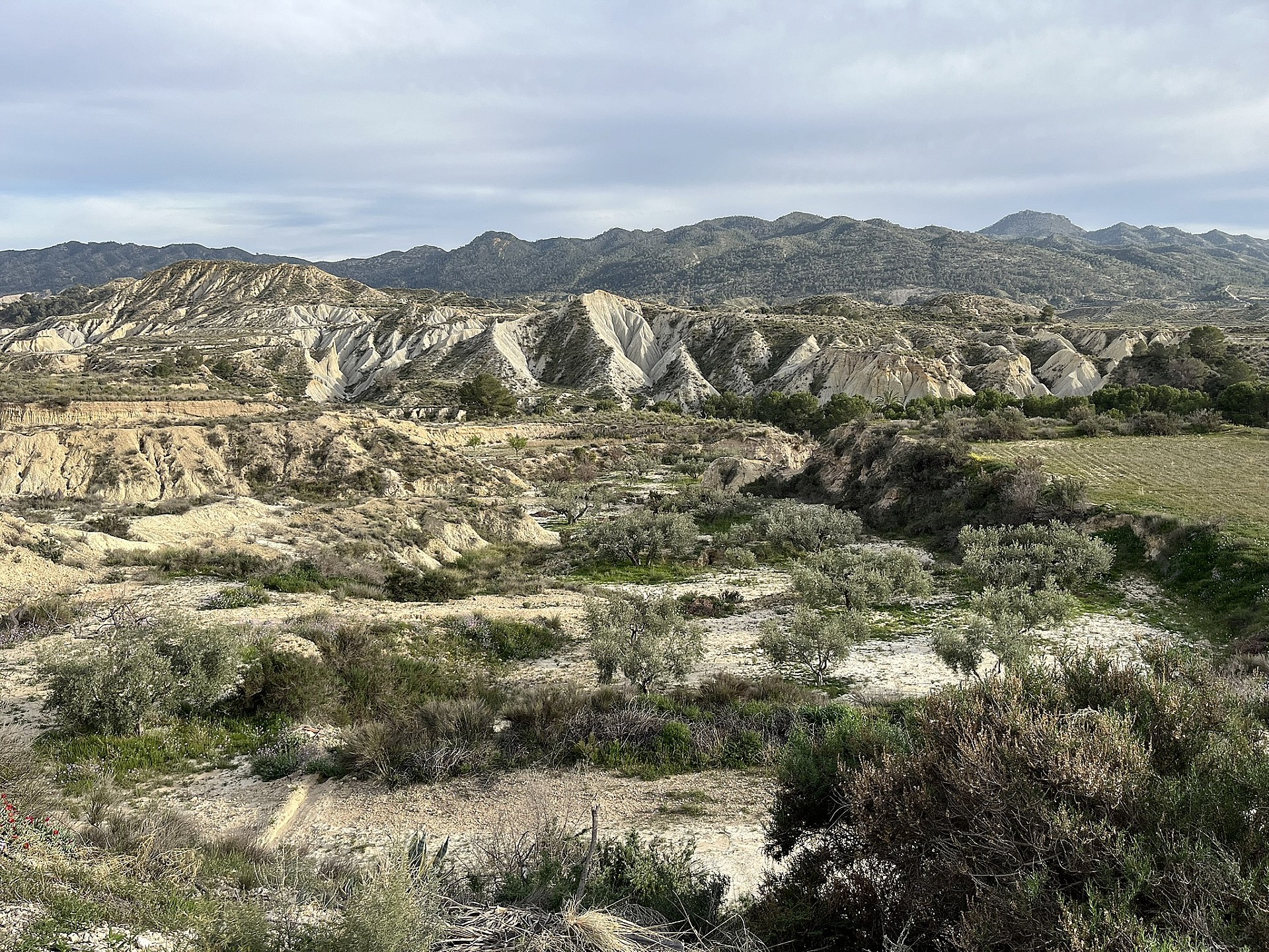 Höhlenhaus in Abanilla (Murcia) Höhlenhaus in Abanilla (Murcia)