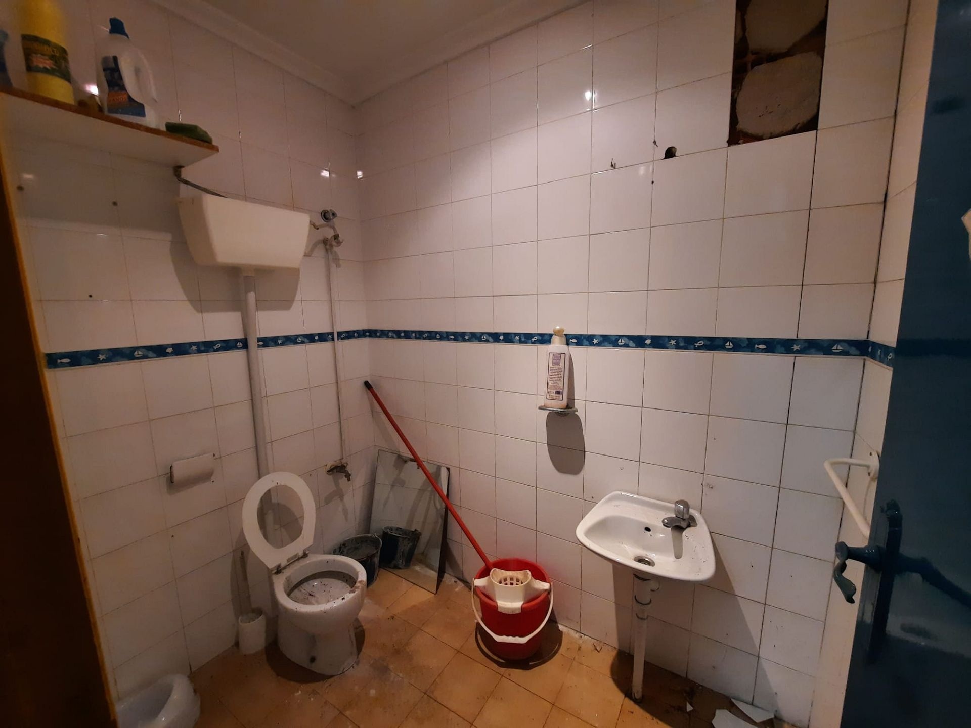 w_whatsapp-image-2026-03-11-at-10.24.34-1-