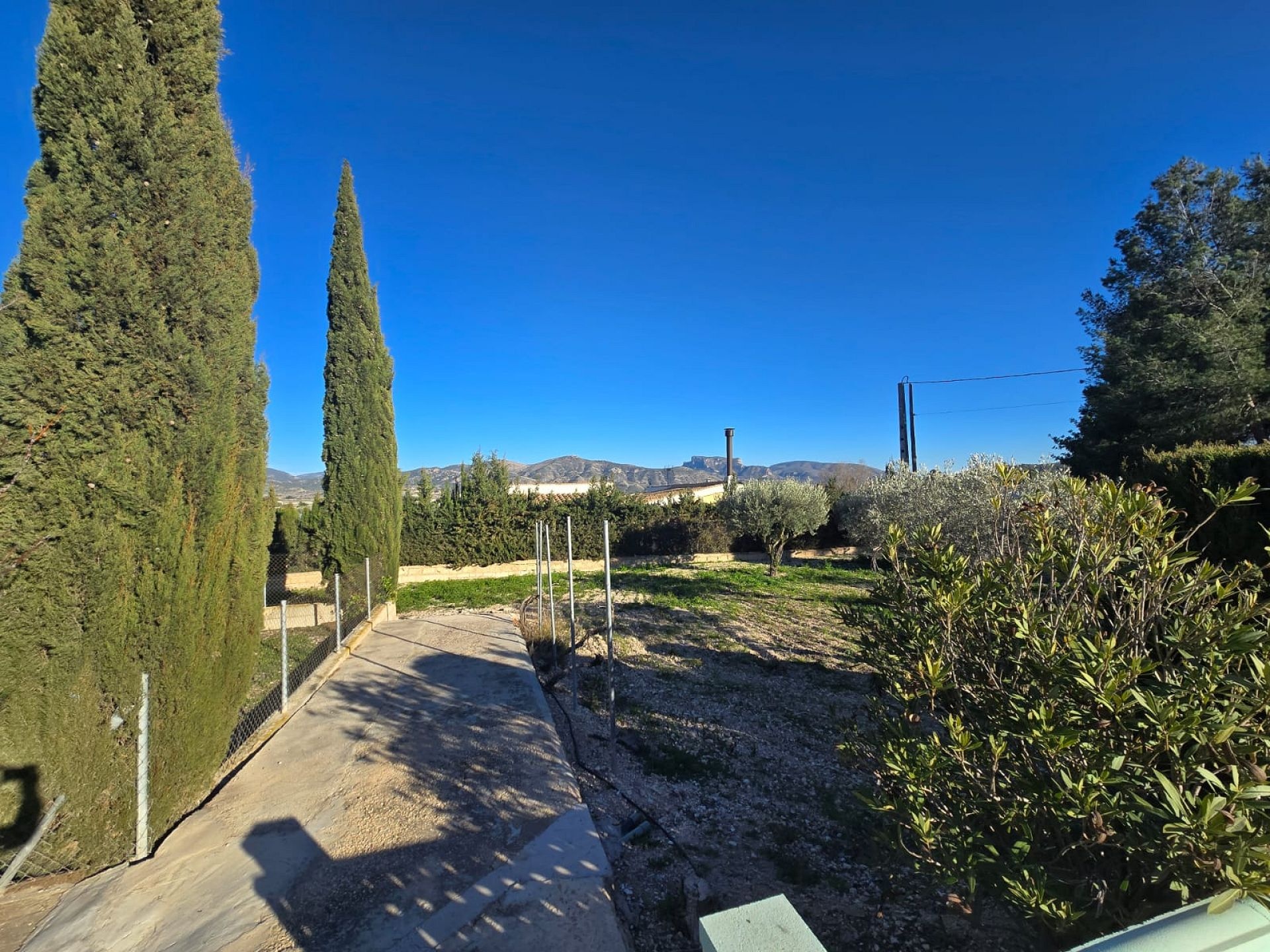 w_whatsapp-image-2026-03-18-at-12.28.23-1-