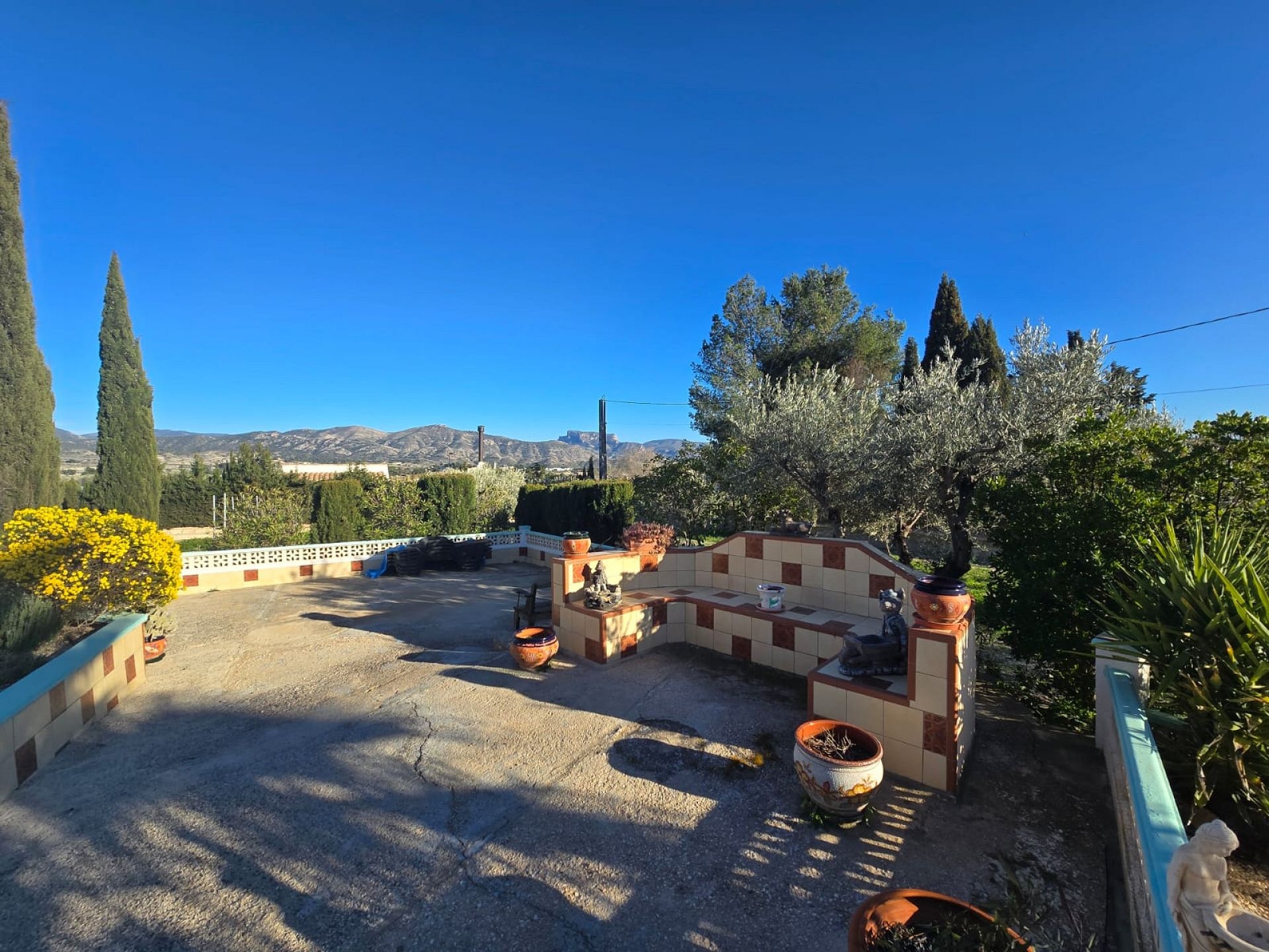 w_whatsapp-image-2026-03-18-at-12.28.23-2-