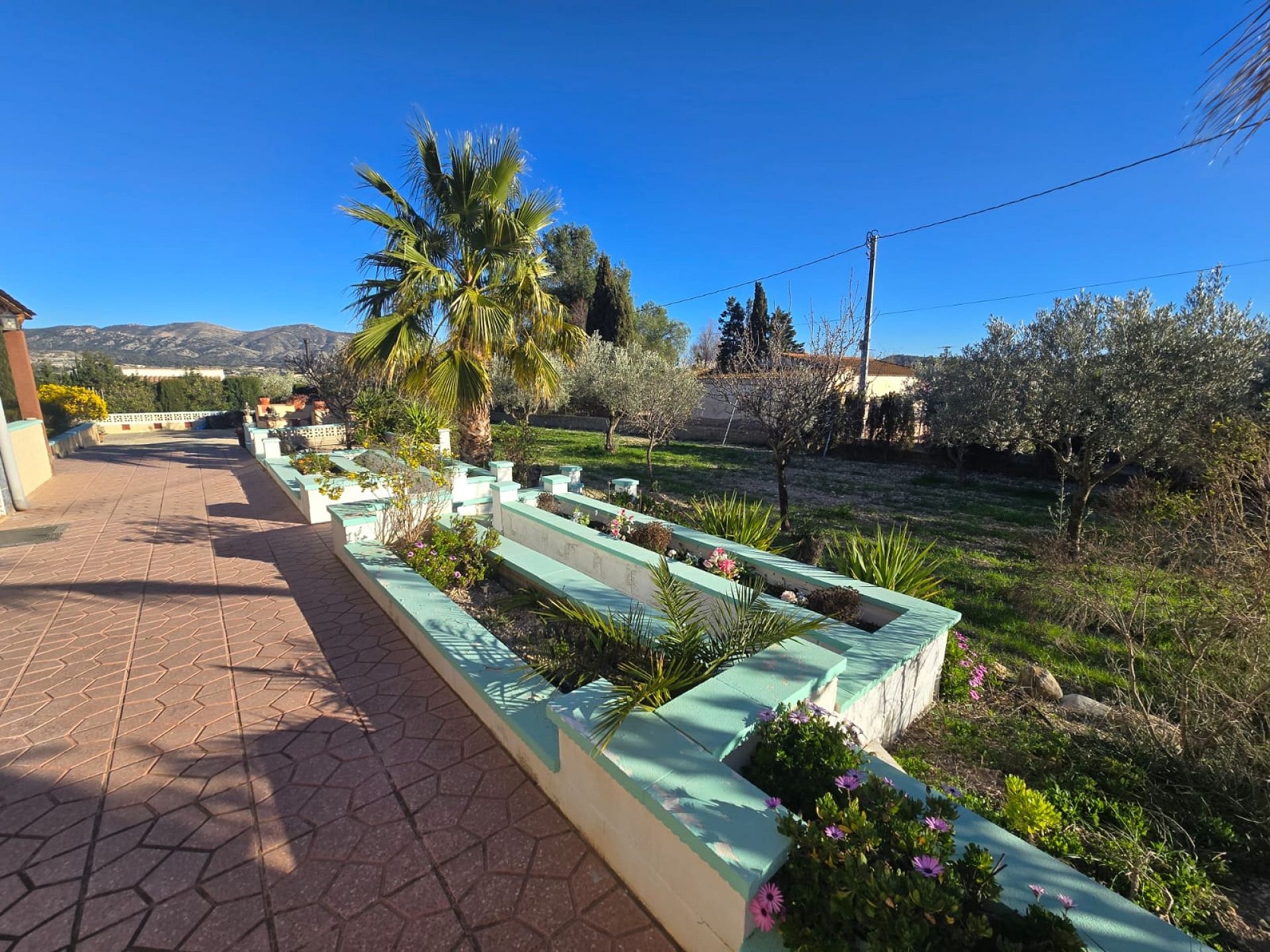 w_whatsapp-image-2026-03-18-at-12.28.23-3-