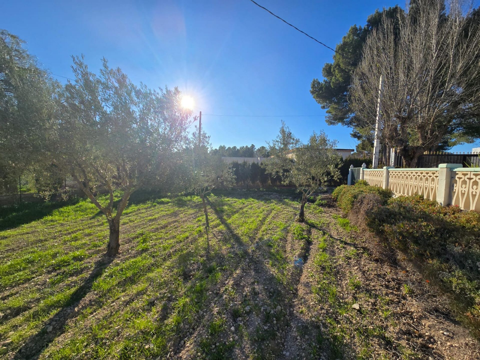 w_whatsapp-image-2026-03-18-at-12.28.23-4-