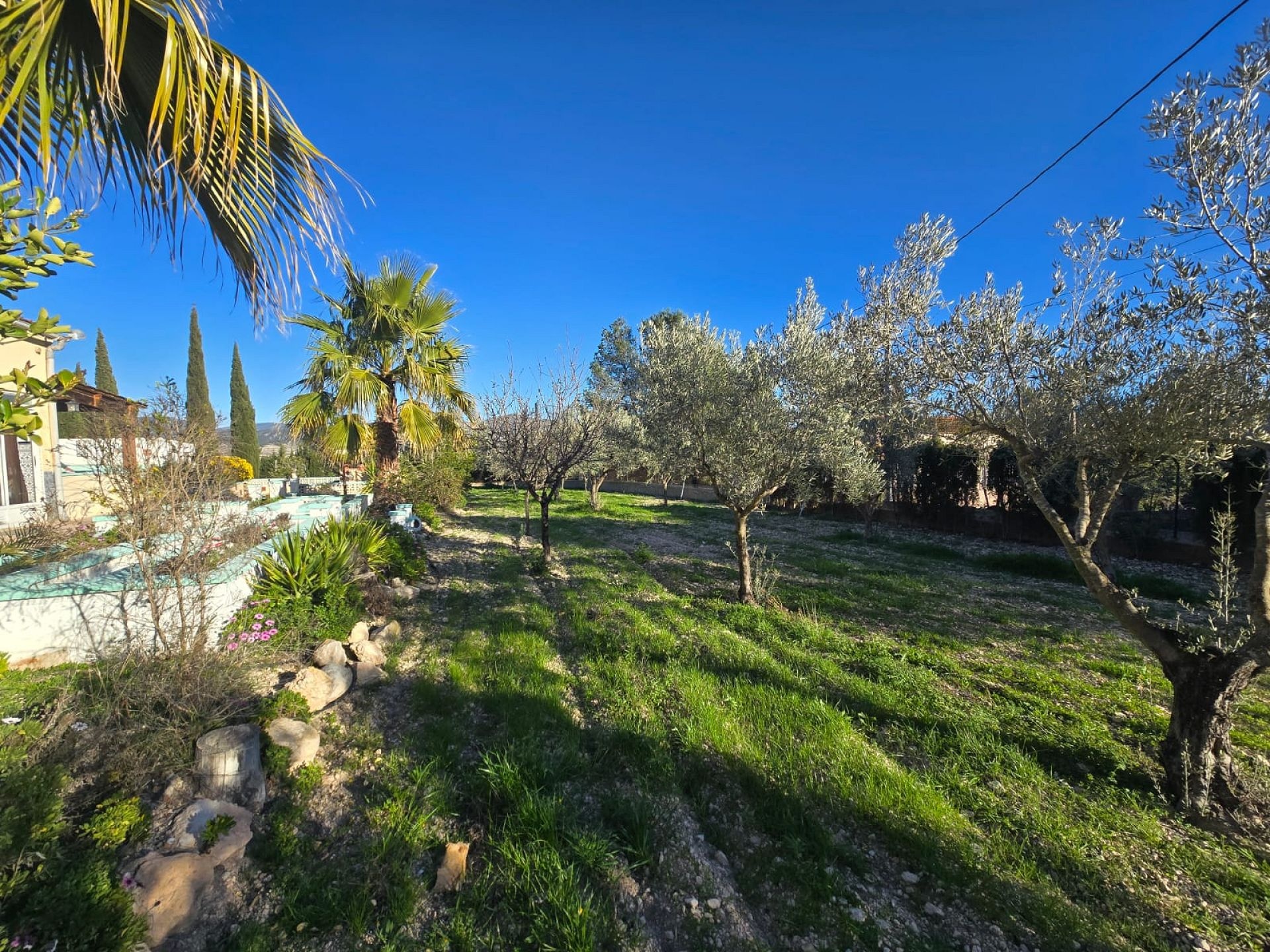 w_whatsapp-image-2026-03-18-at-12.28.23-5-