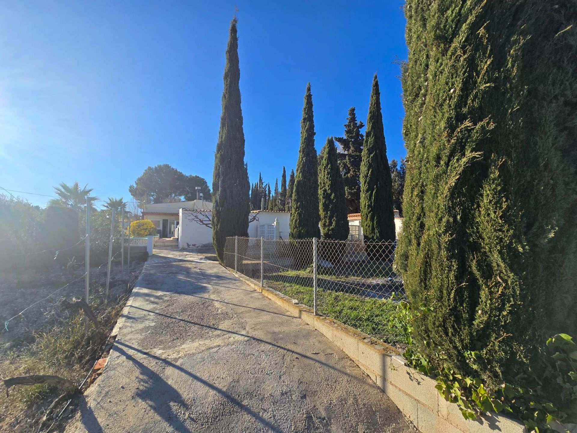 w_whatsapp-image-2026-03-18-at-12.28.23