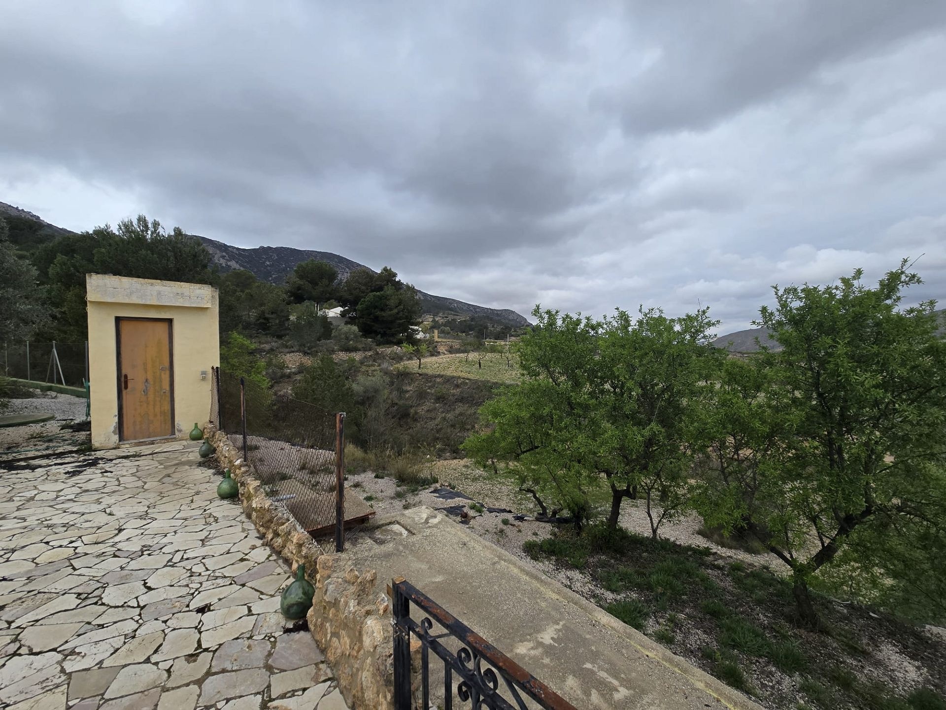 w_whatsapp-image-2026-03-20-at-12.26.26-2-