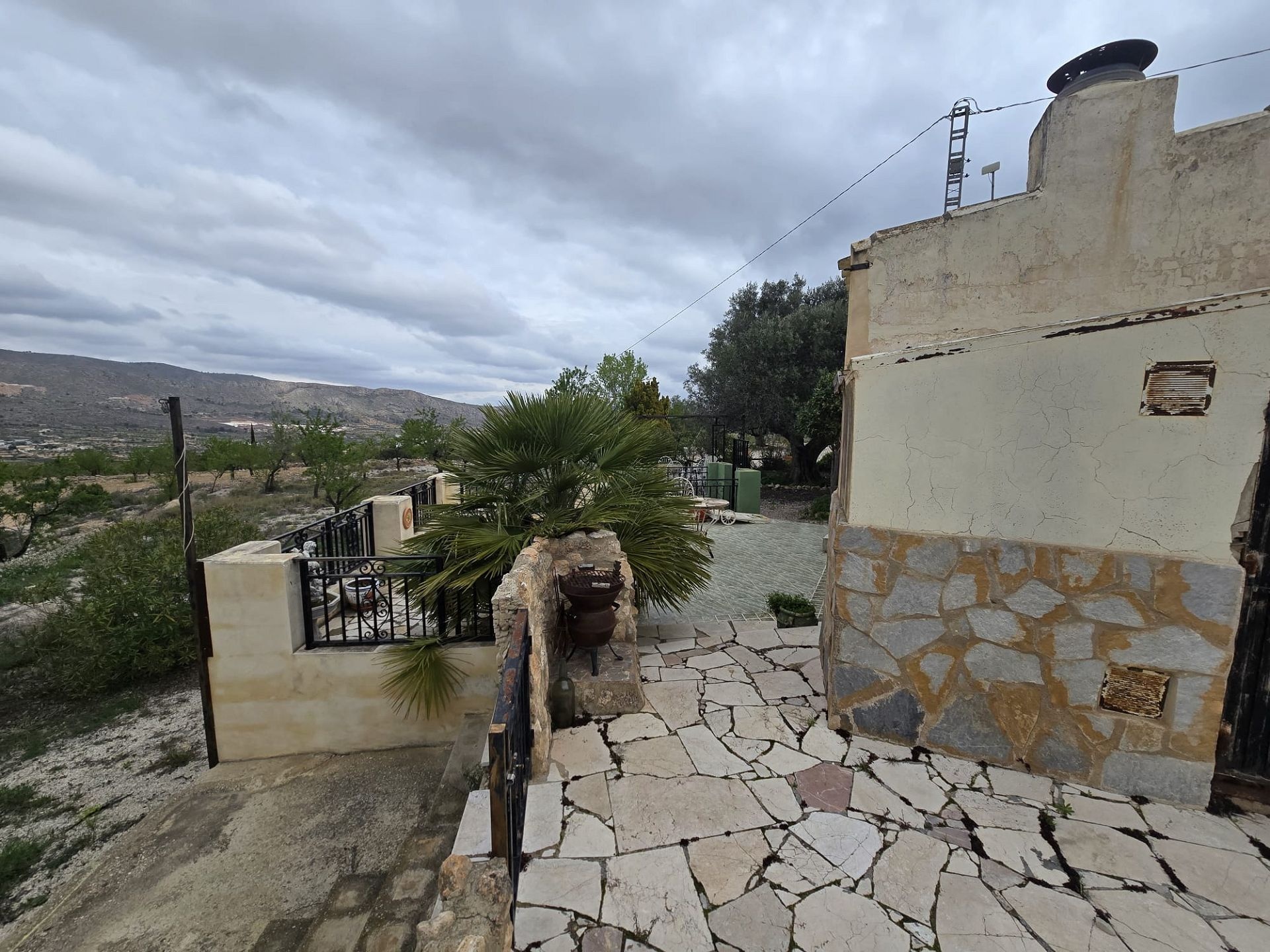 w_whatsapp-image-2026-03-20-at-12.26.27-2-