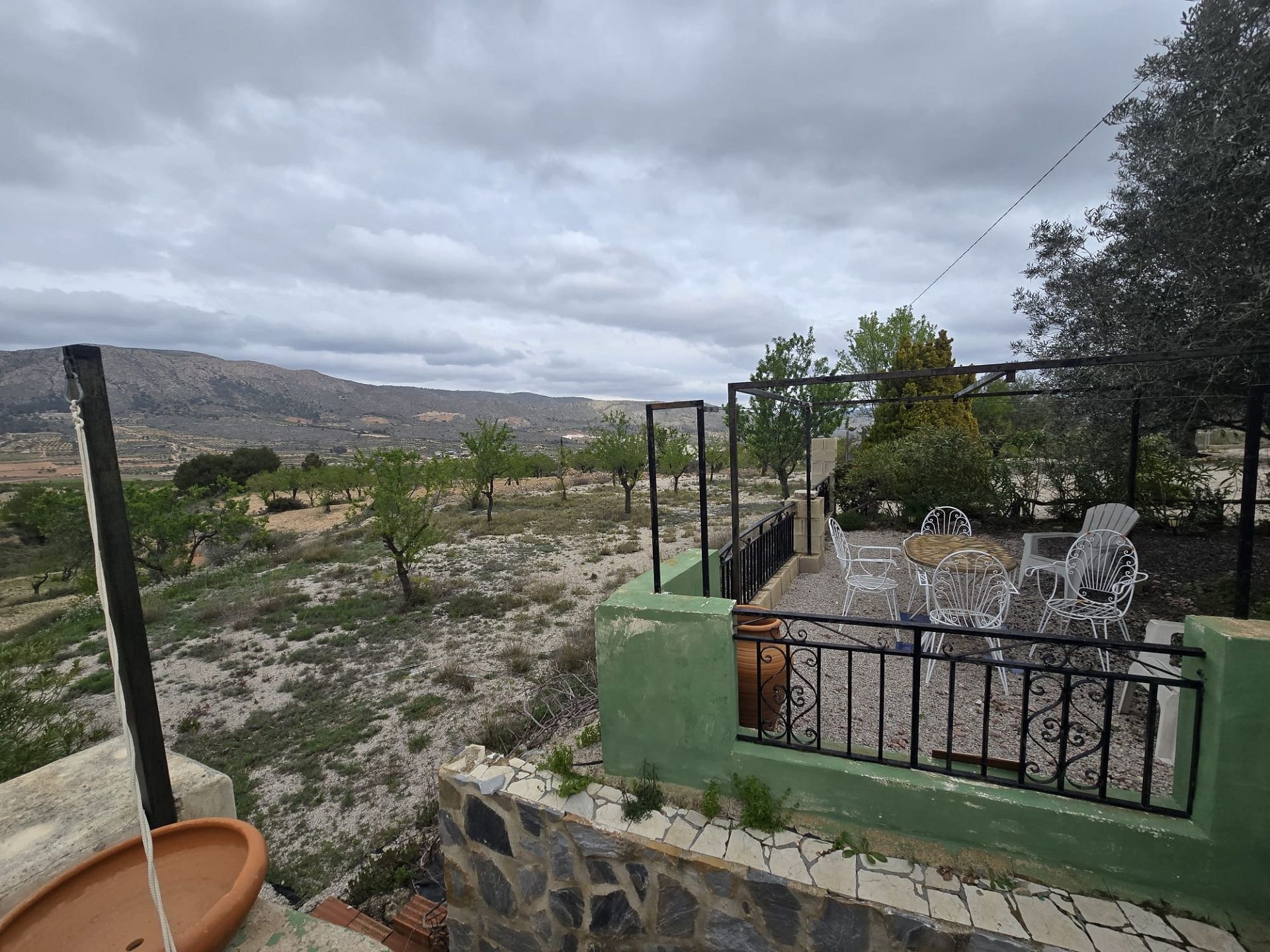 w_whatsapp-image-2026-03-20-at-12.26.27