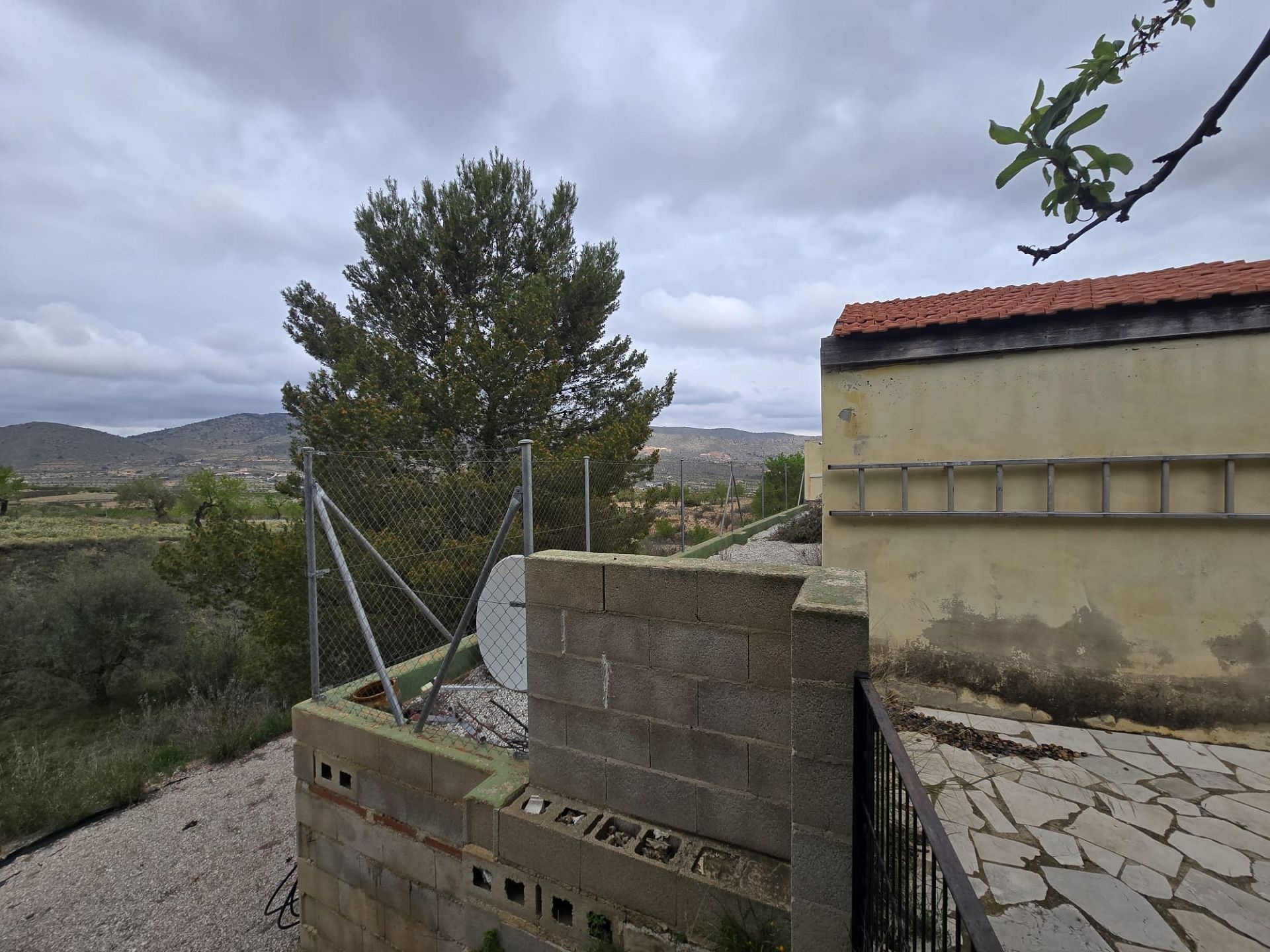 w_whatsapp-image-2026-03-20-at-12.26.29-1-