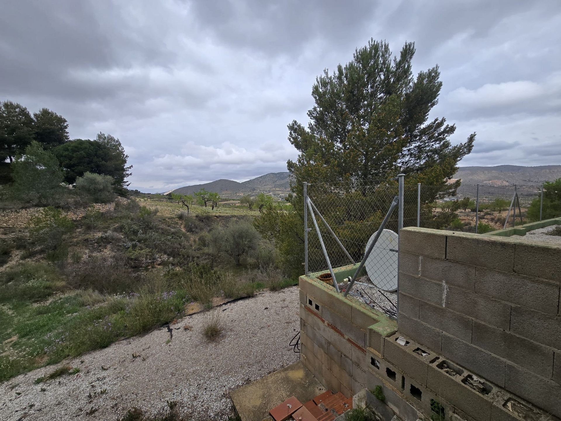 w_whatsapp-image-2026-03-20-at-12.26.29-2-