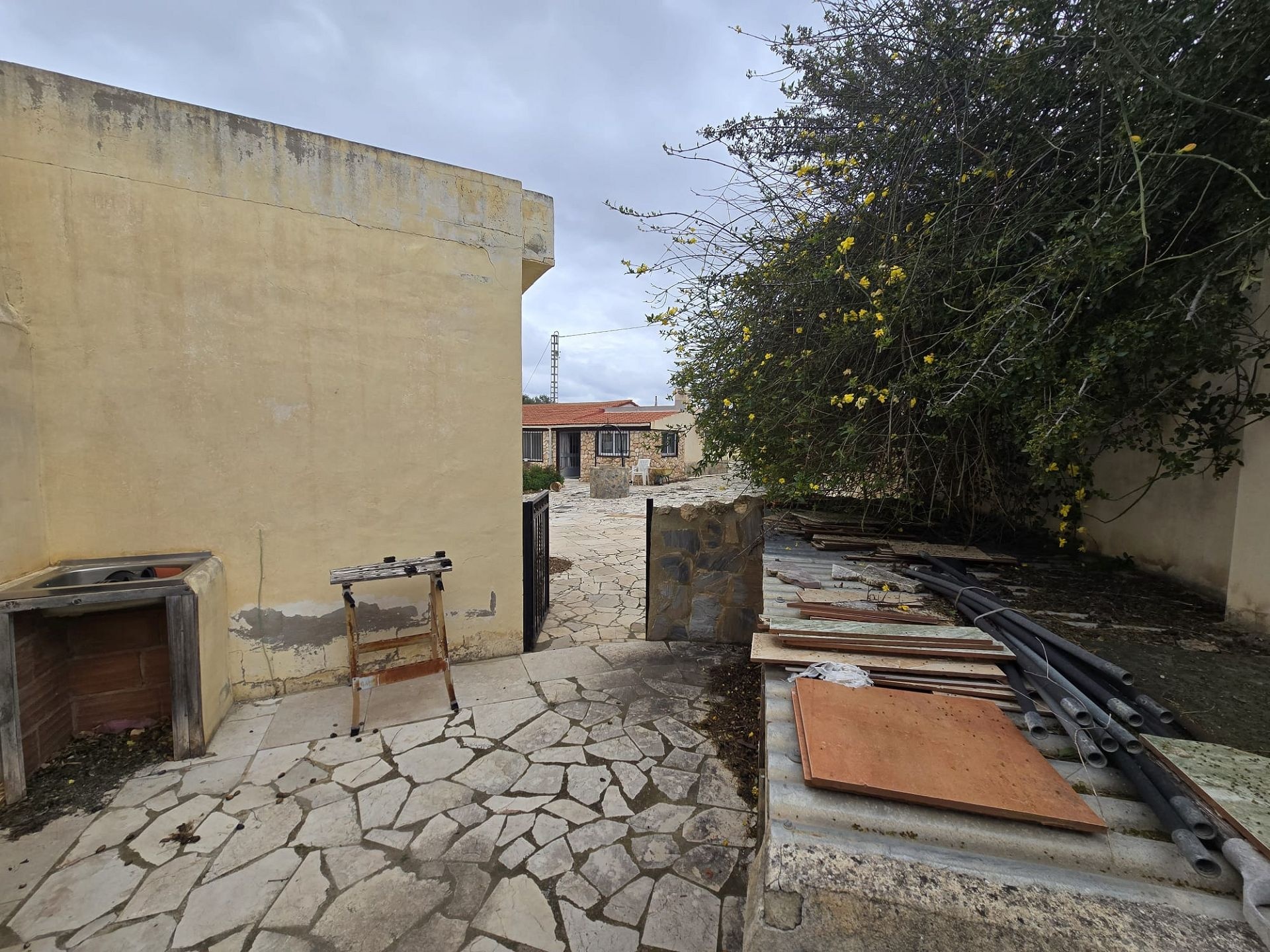 w_whatsapp-image-2026-03-20-at-12.26.29