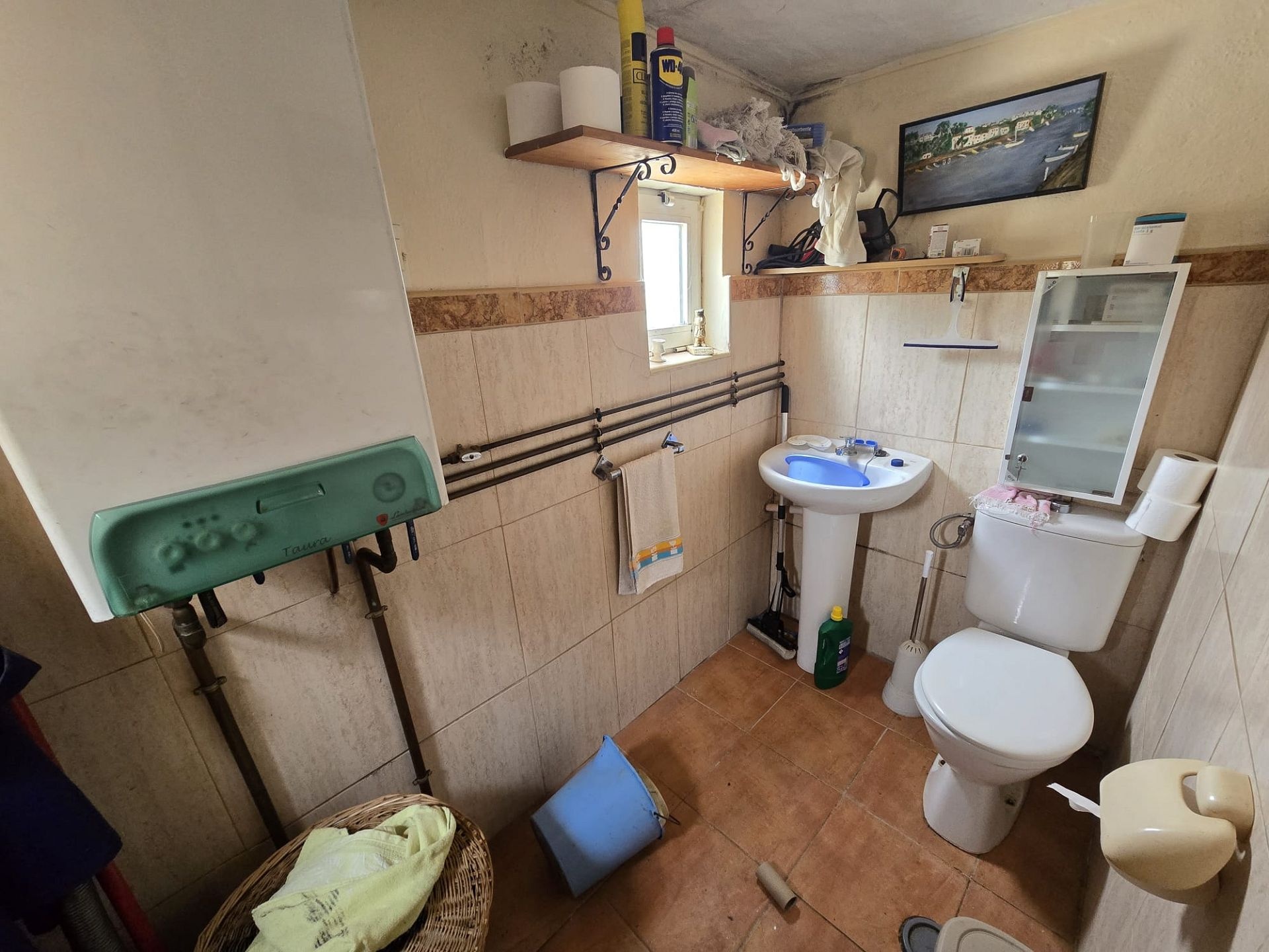 w_whatsapp-image-2026-03-20-at-12.26.30-10-