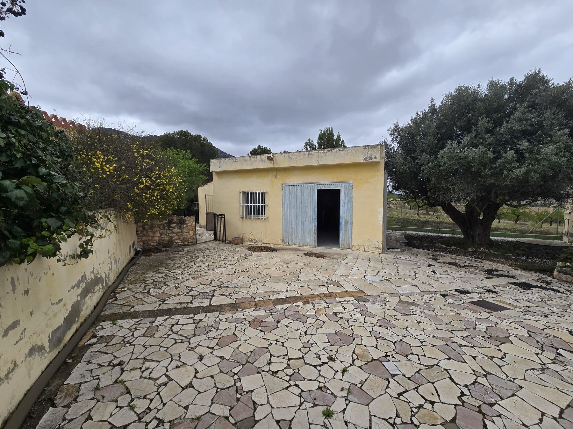 w_whatsapp-image-2026-03-20-at-12.26.30-2-