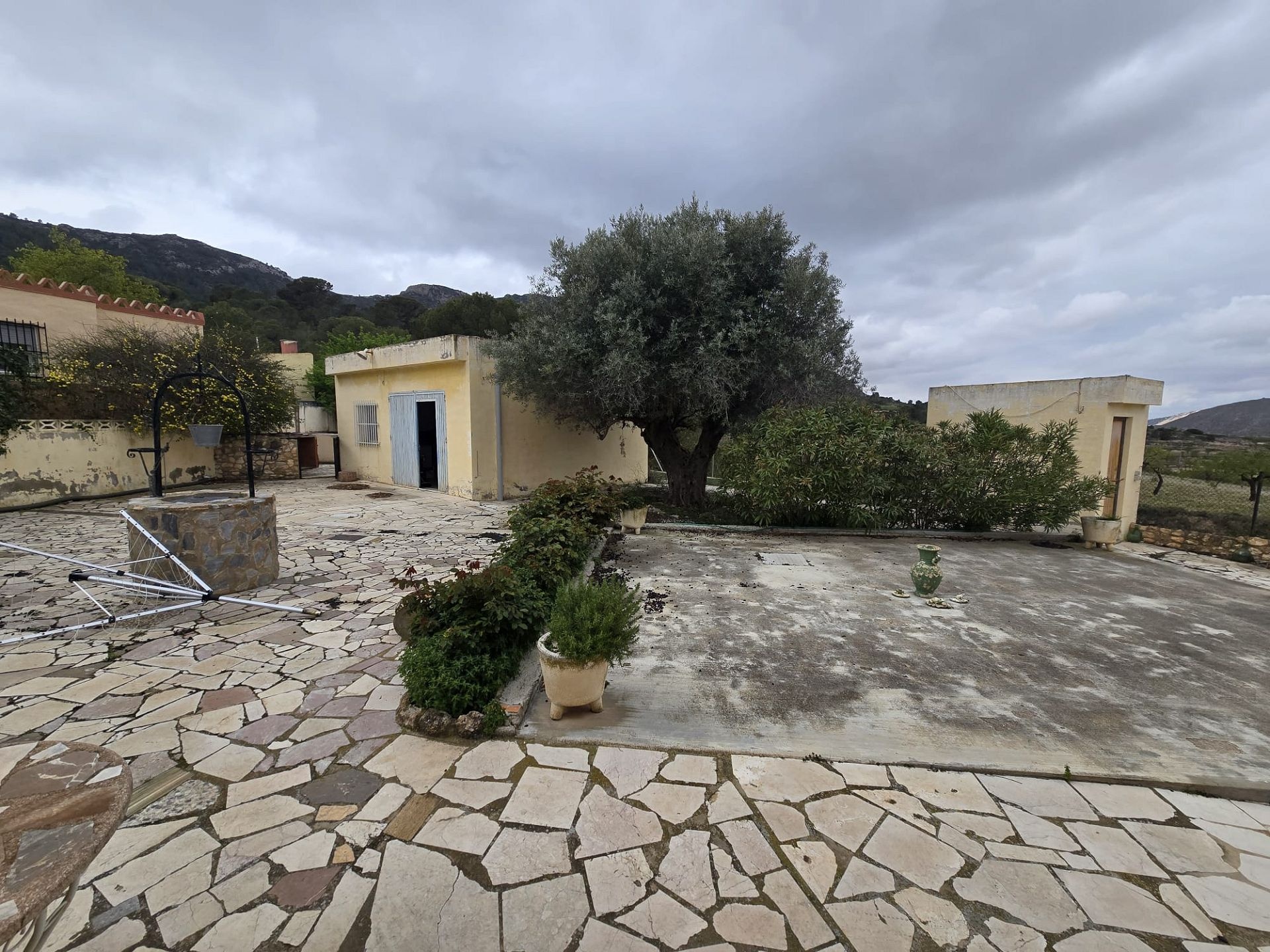 w_whatsapp-image-2026-03-20-at-12.26.30-3-