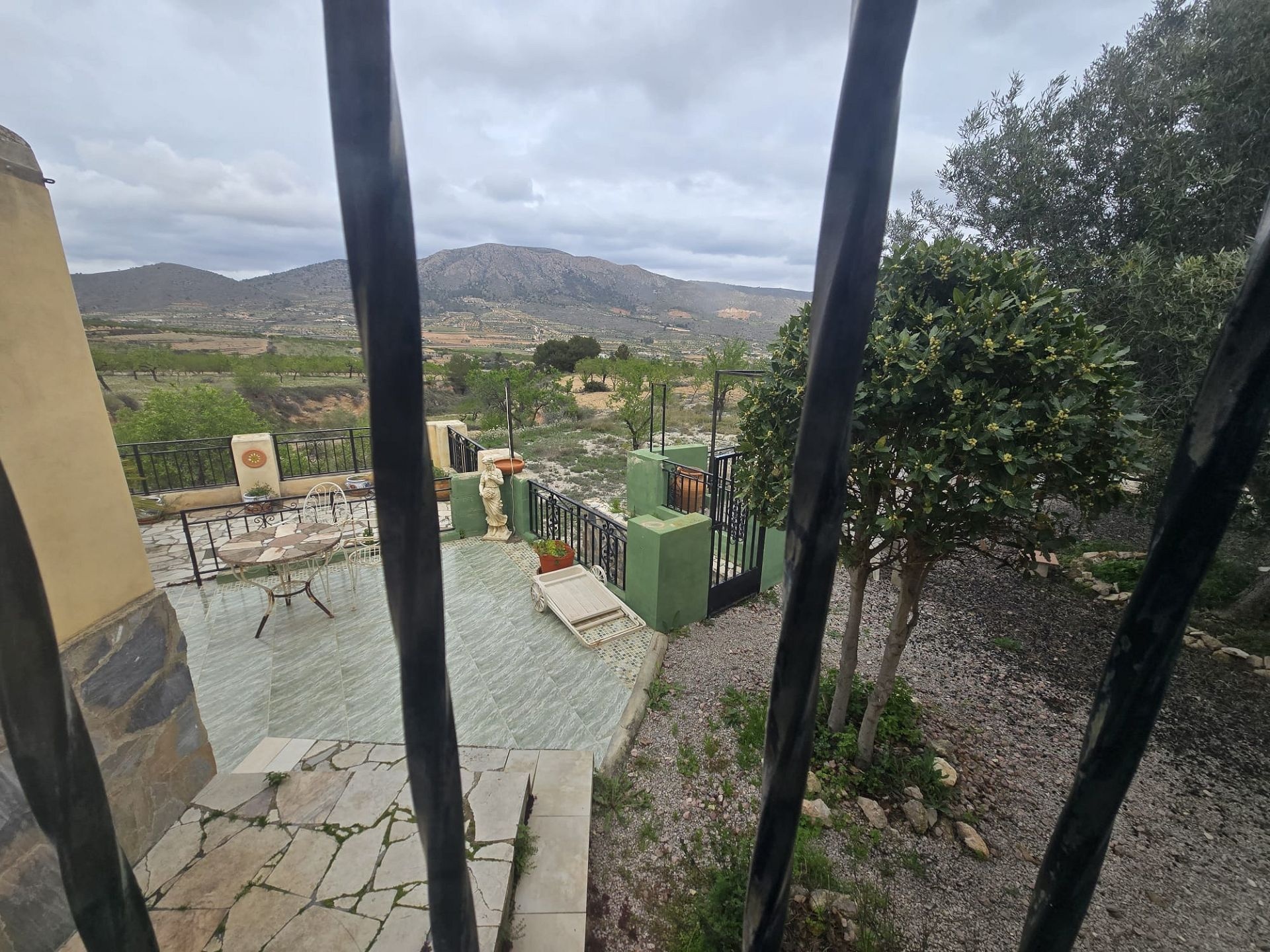 w_whatsapp-image-2026-03-20-at-12.26.30-4-