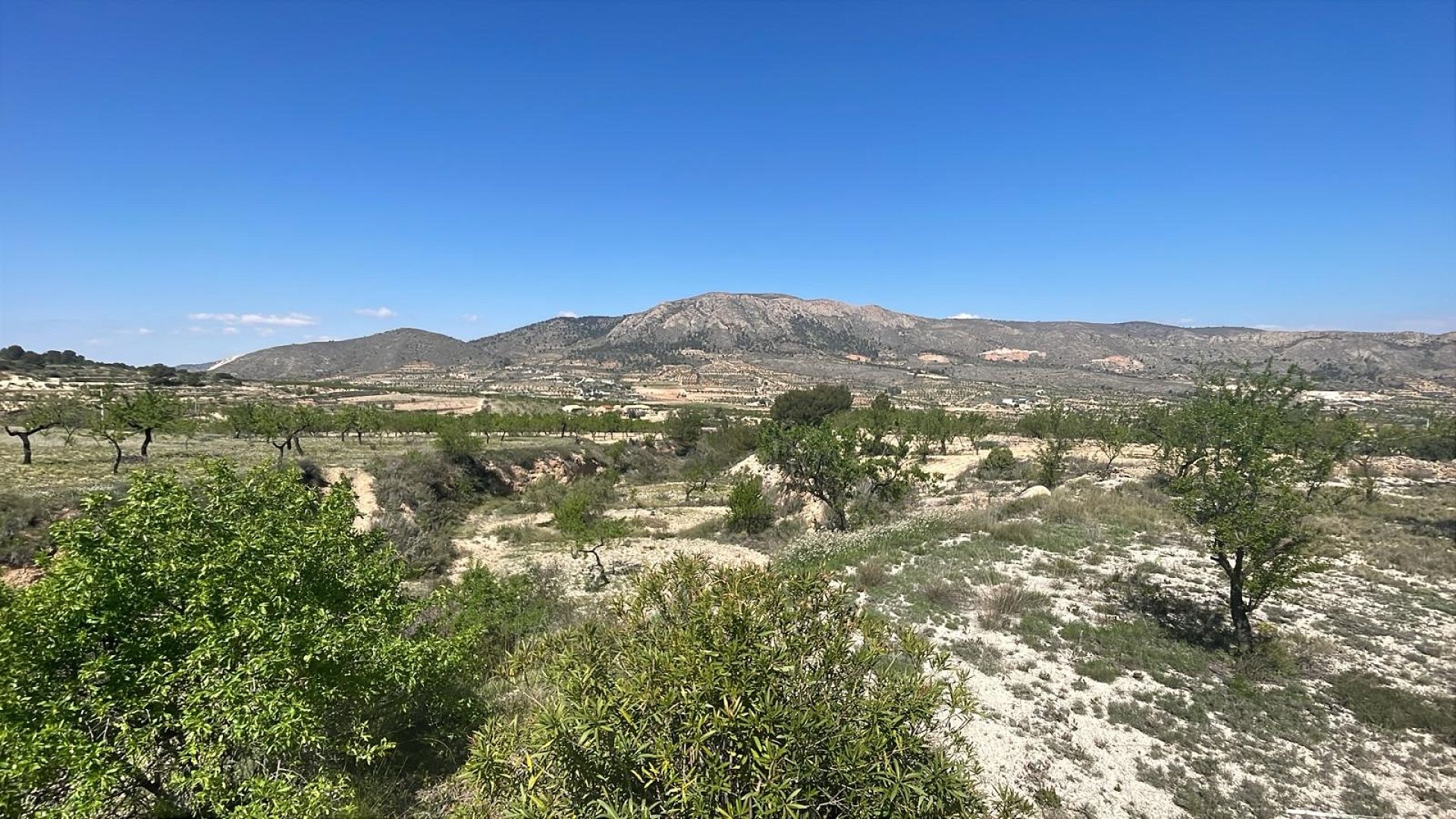 w_whatsapp-image-2026-03-24-at-12.28.43-3-