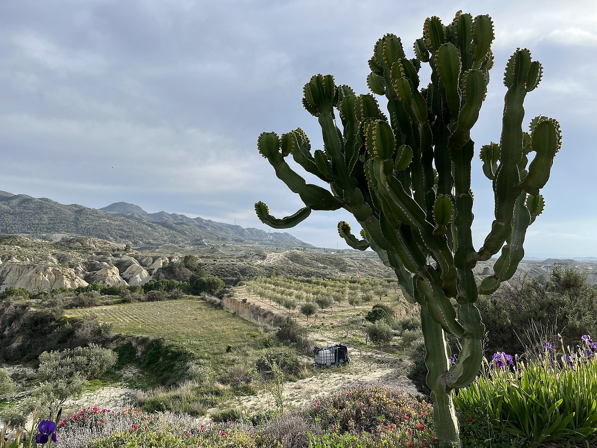 w_xont7pigfi56v5zfdatu