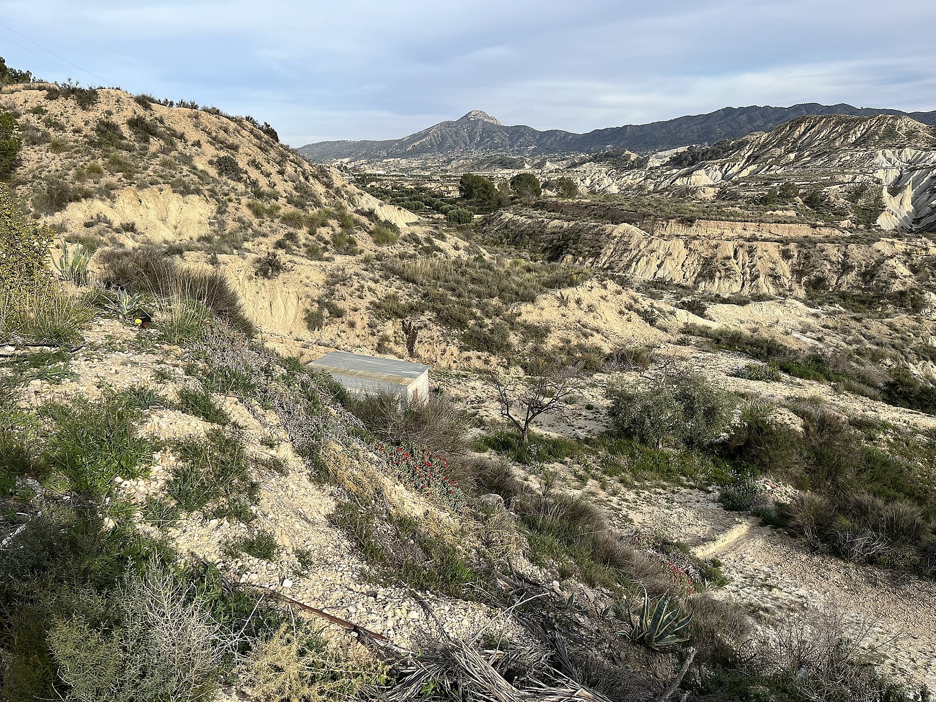 w_ymy508dyiezu3zwrfv4q